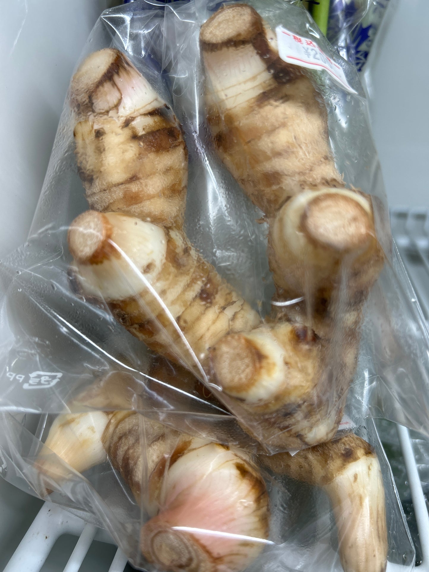 ပဒဲကော Galangal (150g) ガランガル