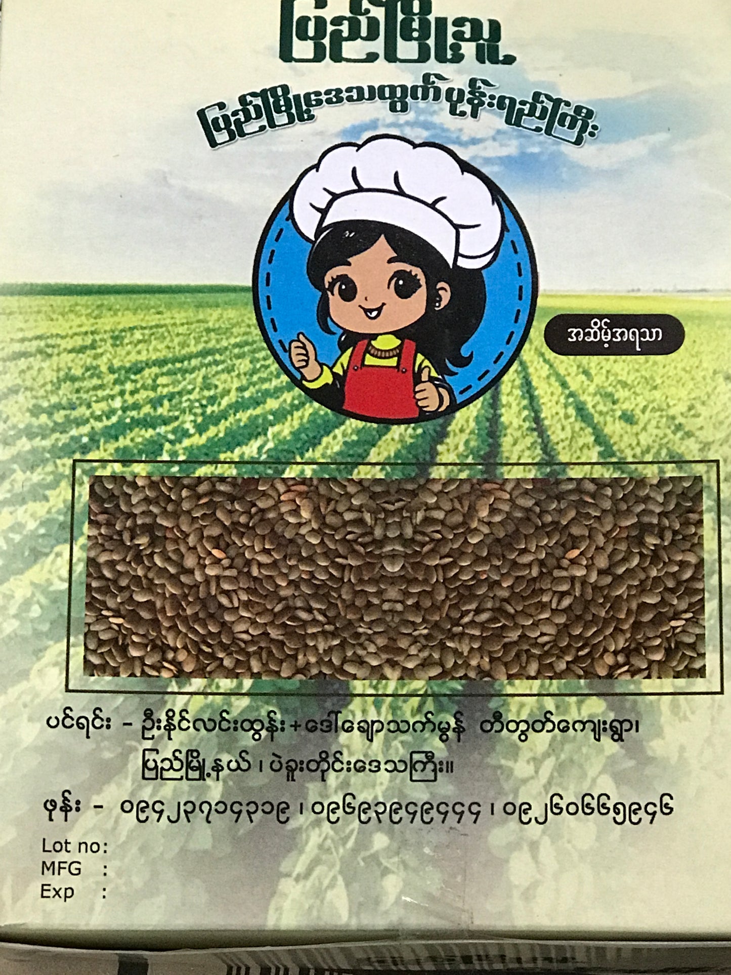 ပြည်မြို့သူ ပုန်းရည်ကြီး (အဆိမ့်)