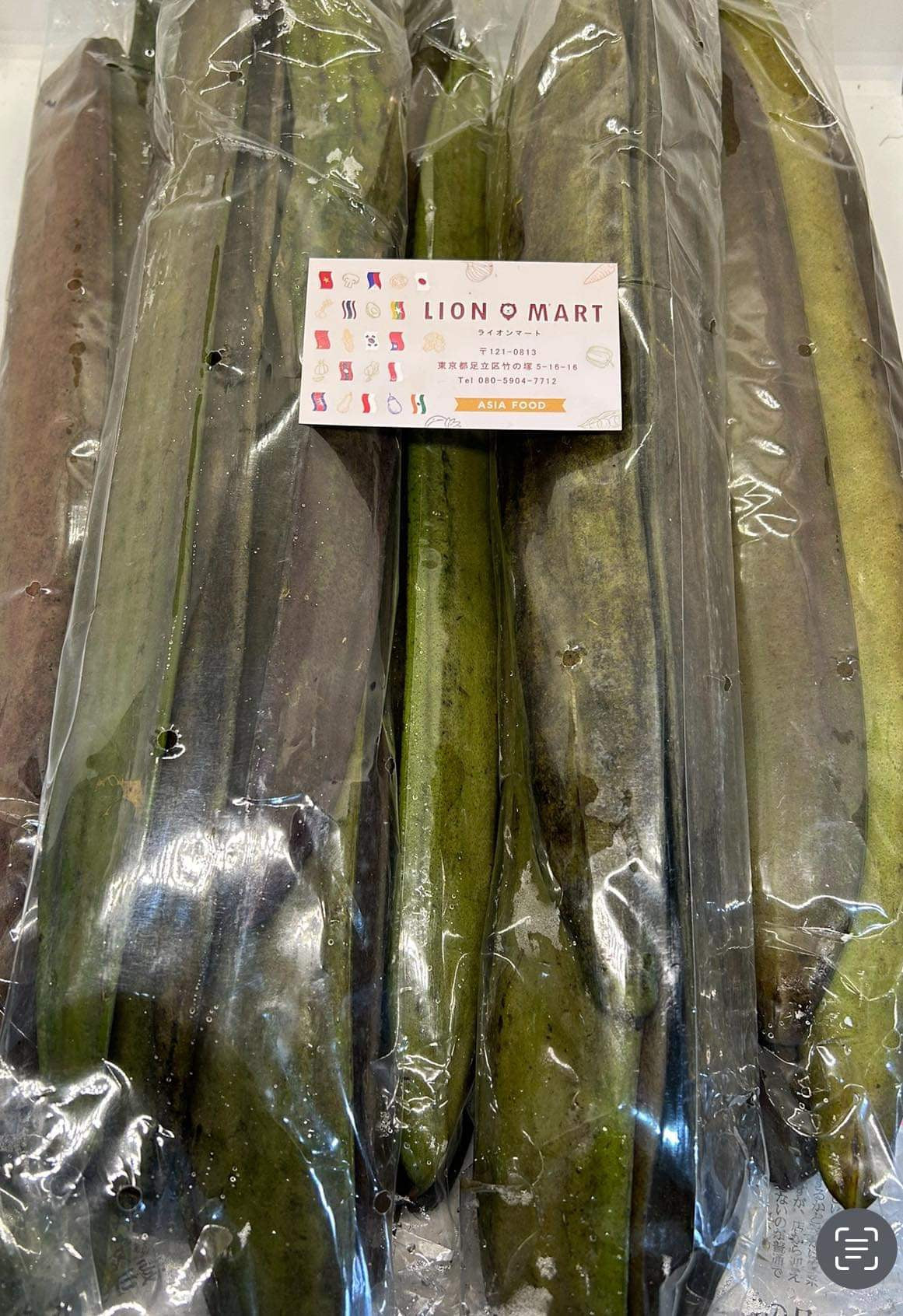 ကြောင်လျှာသီး