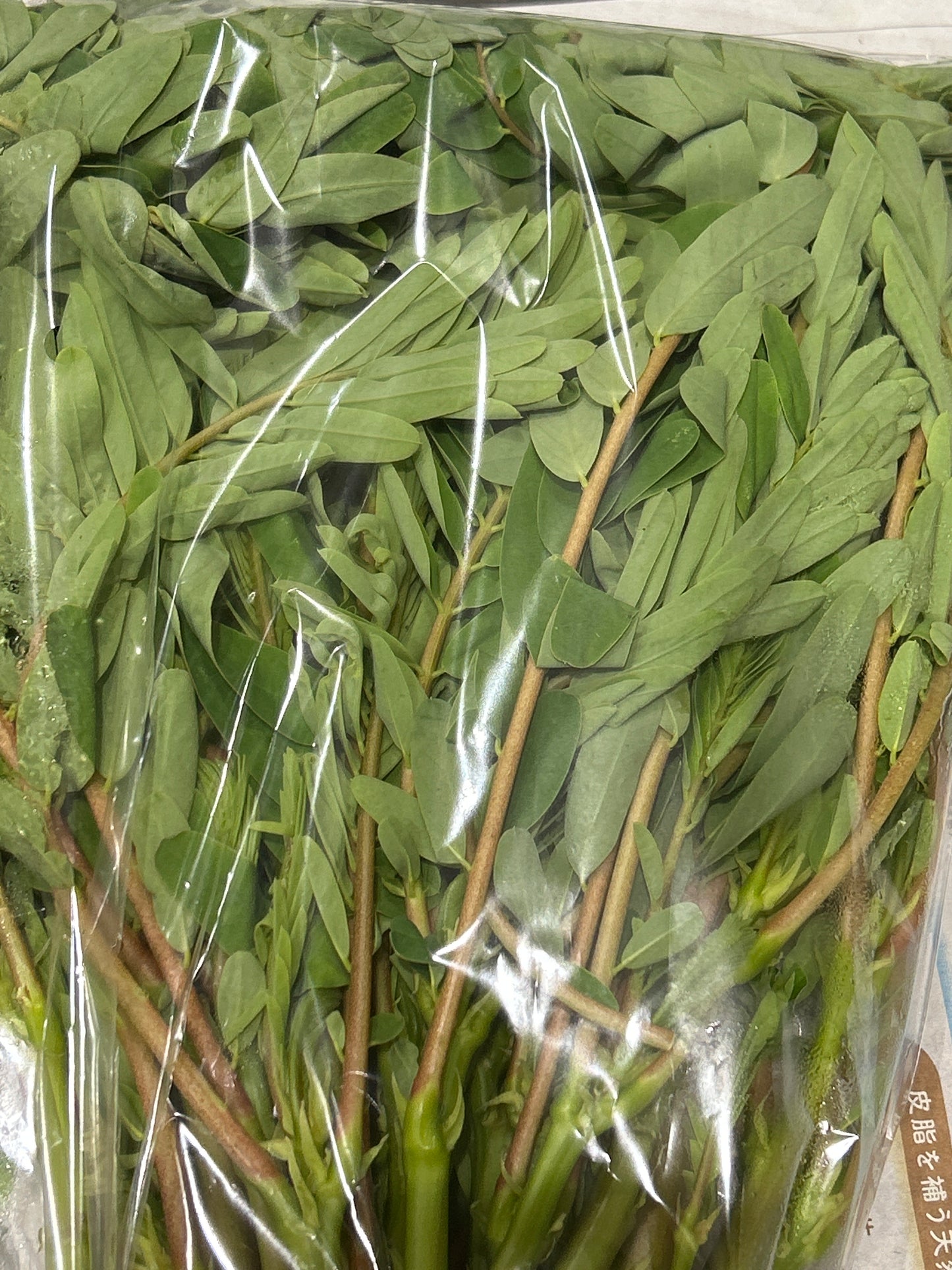 ပေါက်ပန်းဖြူရွက် (250g)