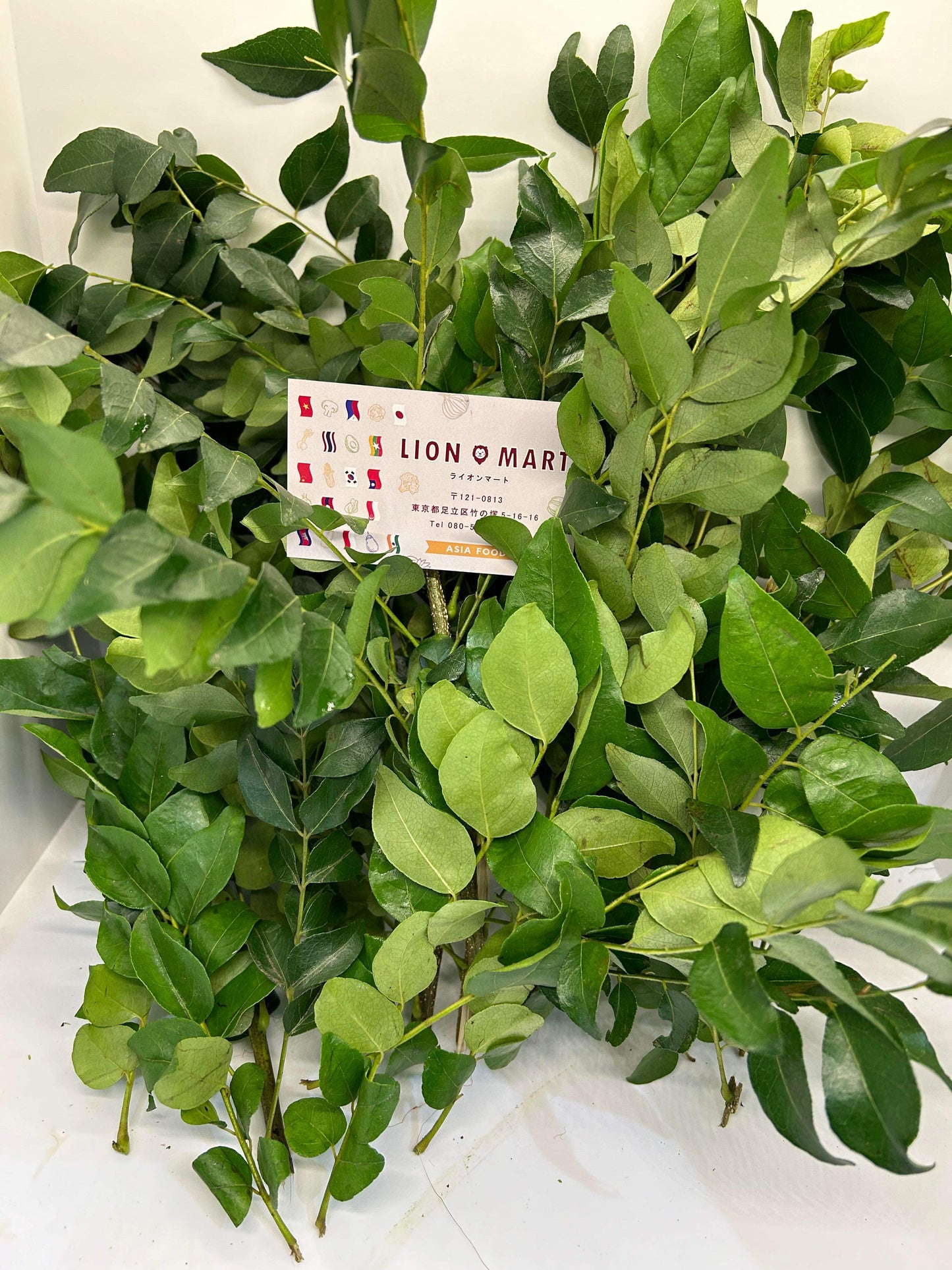 ပျဉ်းတော်သိမ်ရွက် カレーリーフ Curry Leaf