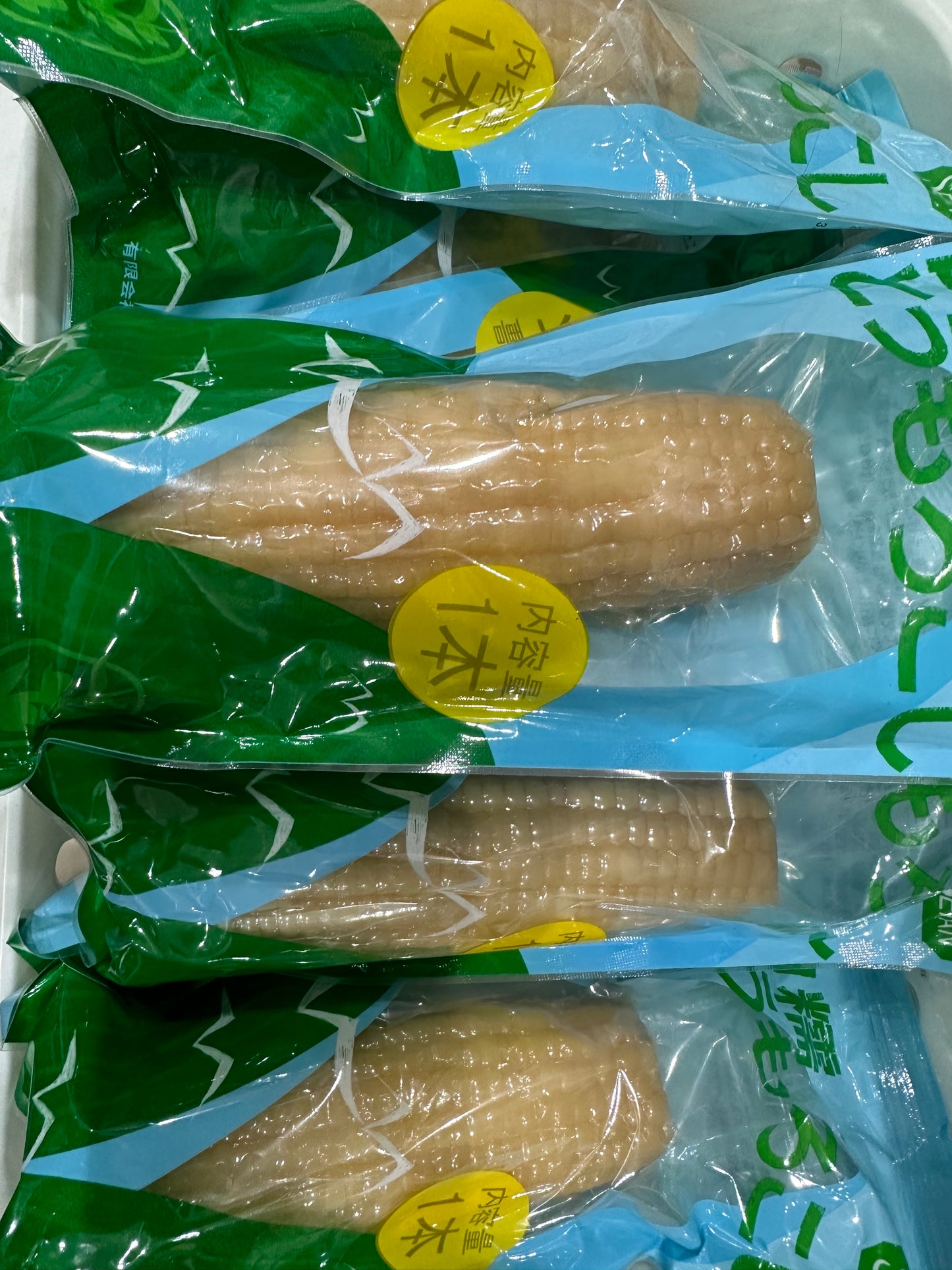 ပလို့ပြောင်း (အဖြူ)