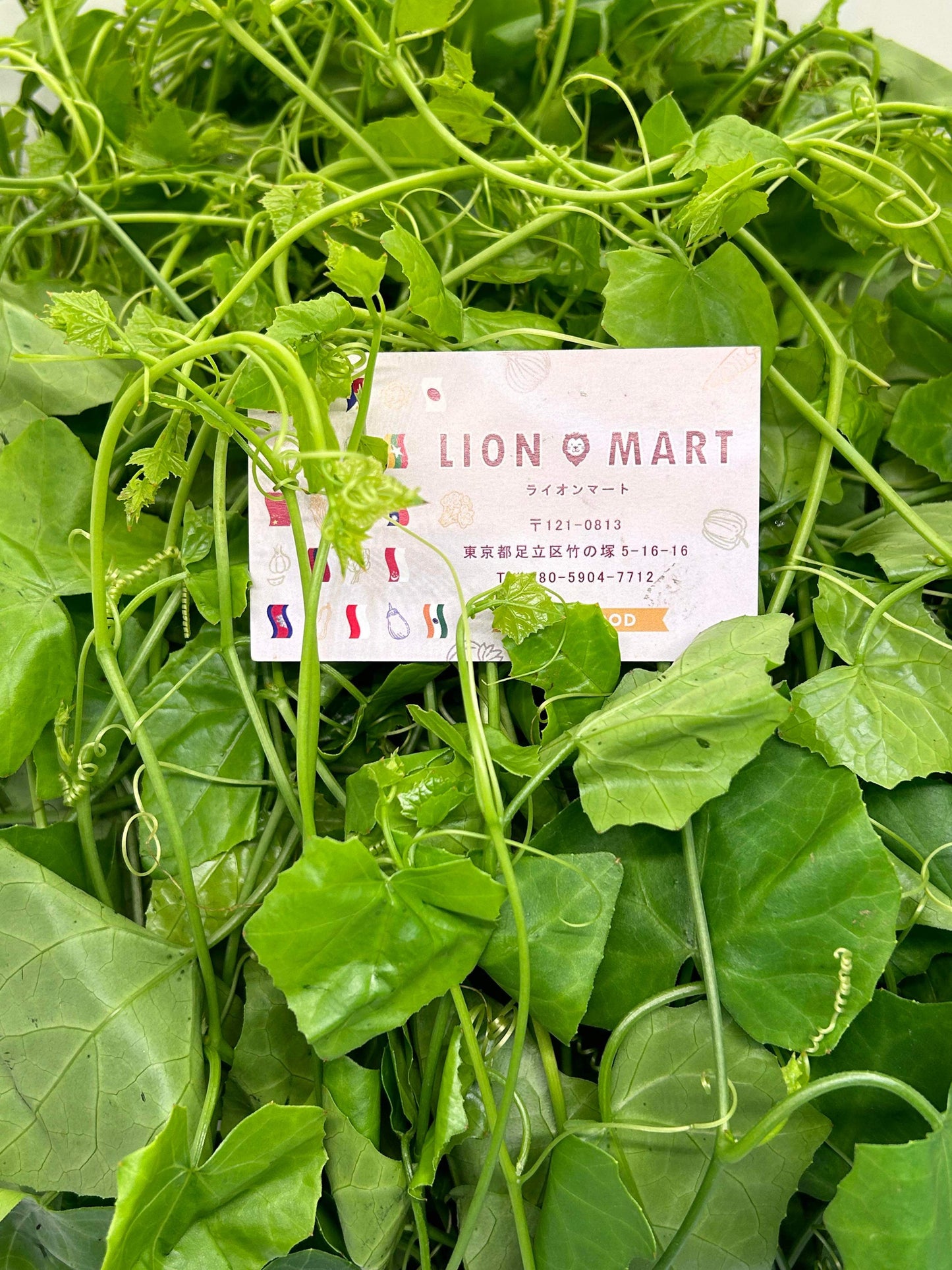 ကင်းပုံရွက် 100g