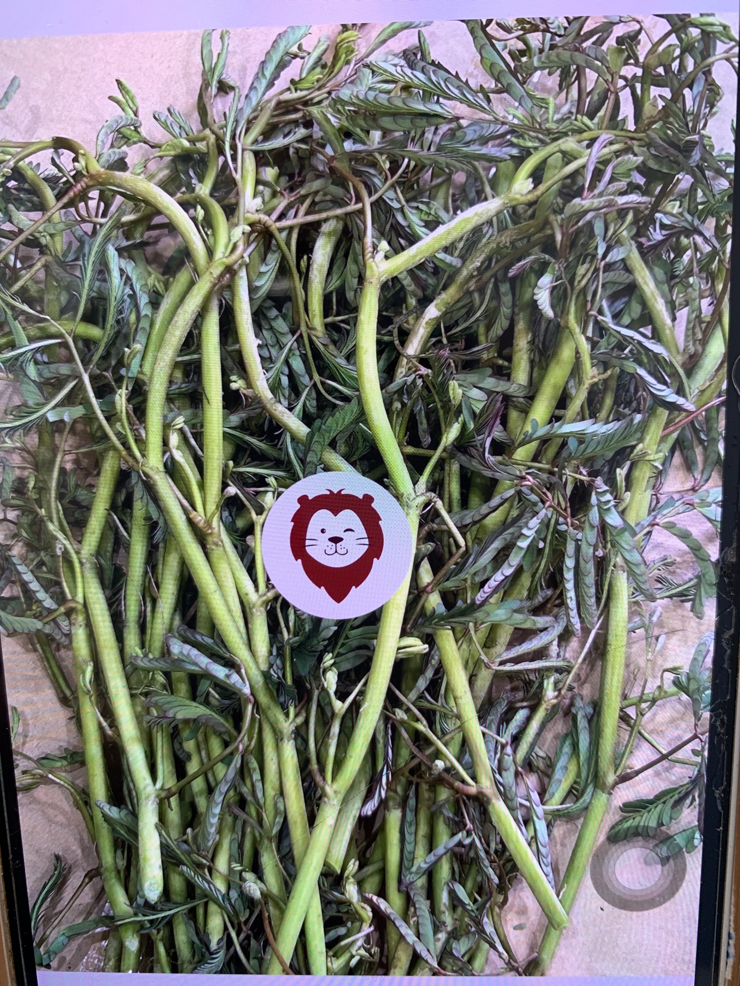 ထိကရုဏ်းရွက် 125g