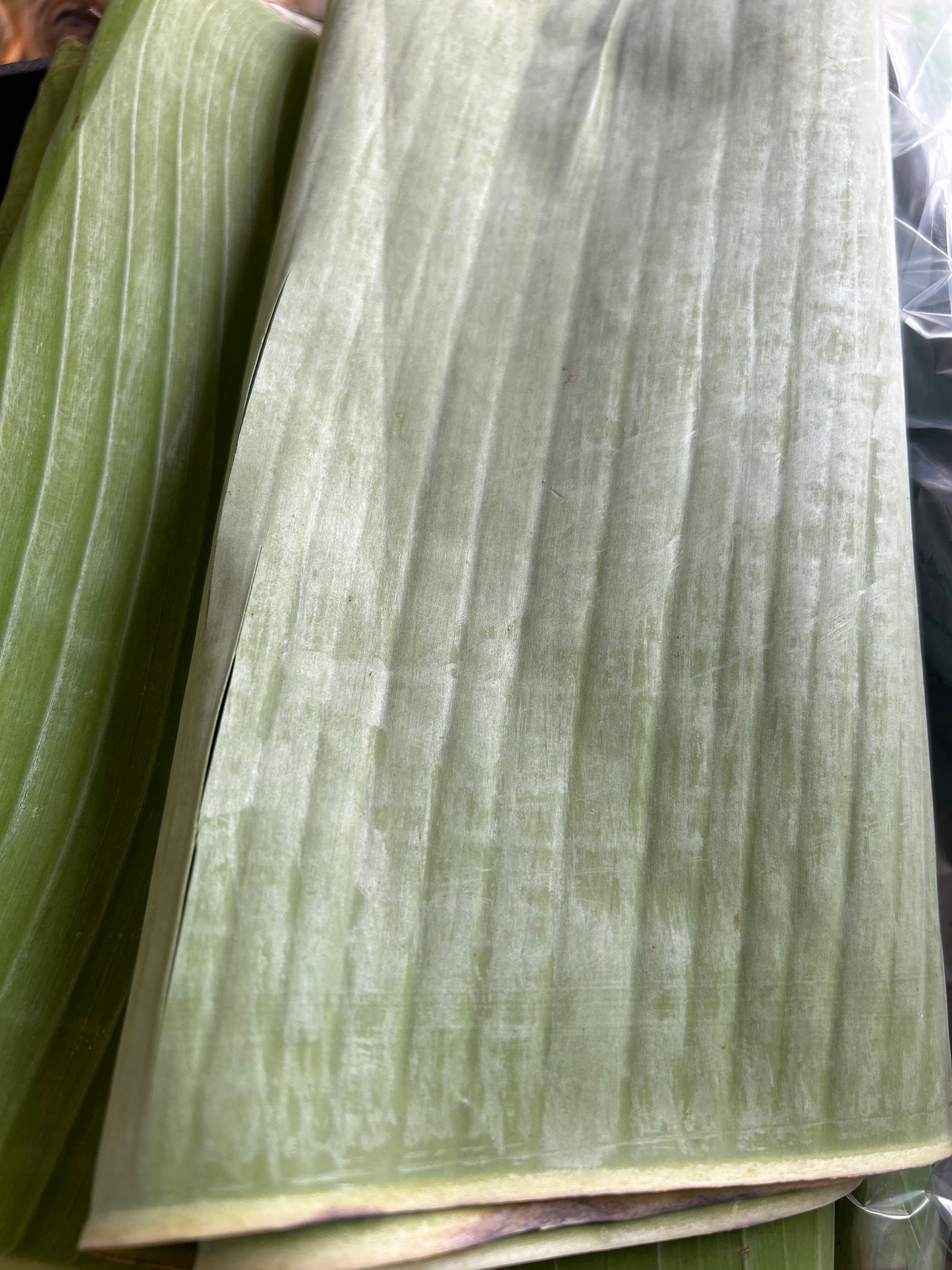 ငှက်ပျောရွက် Banana Leaf (500g)