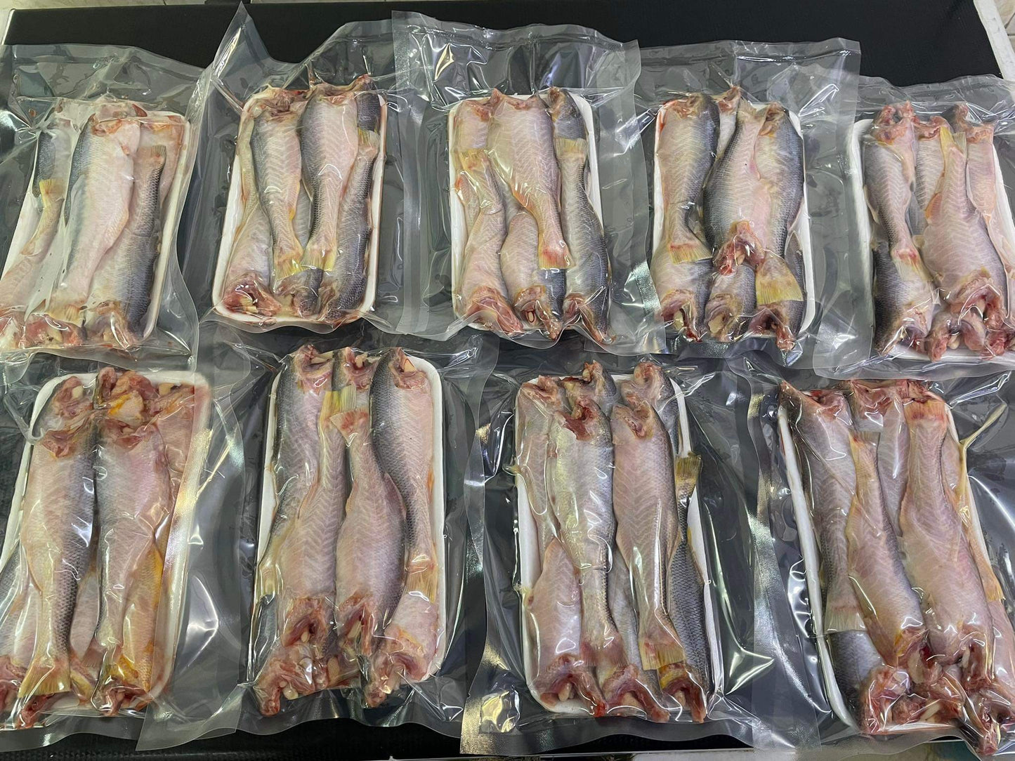 ငါးပုဏ္ဏားအစိမ်း 480g