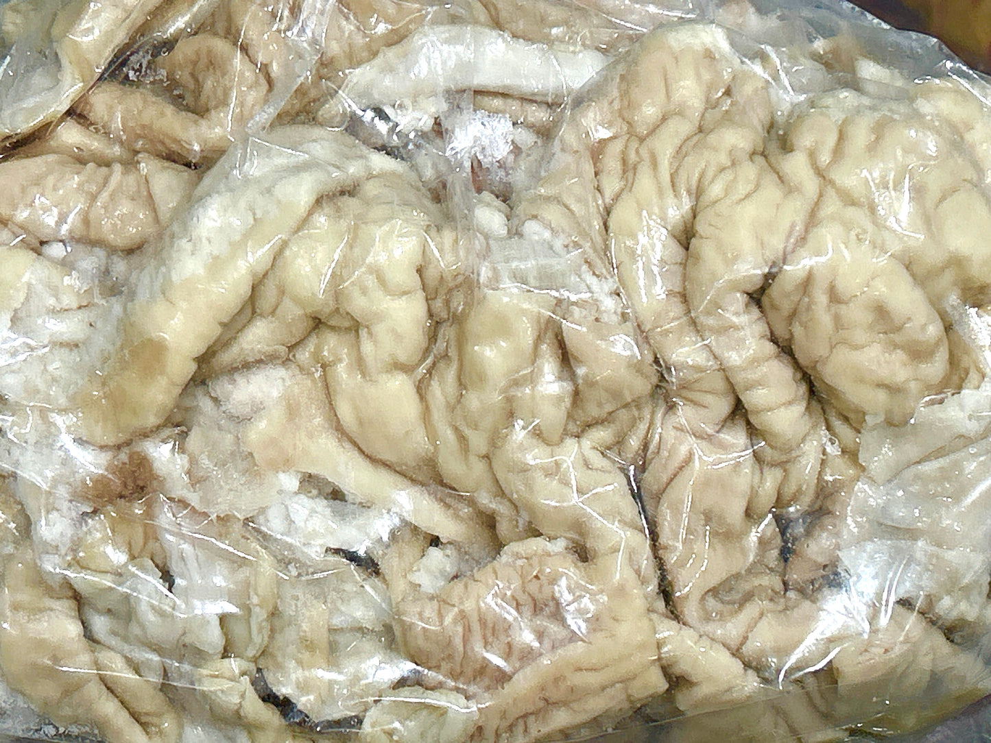 ဝက်အူပိတ် (ပြုတ်ပြီးသား) 800g