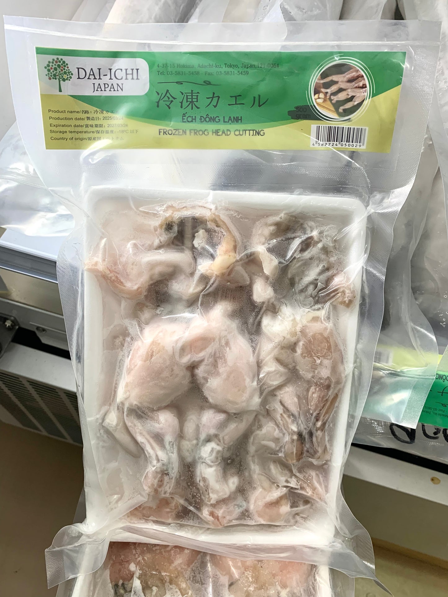 ဖားသား Frozen Frog (Headless)