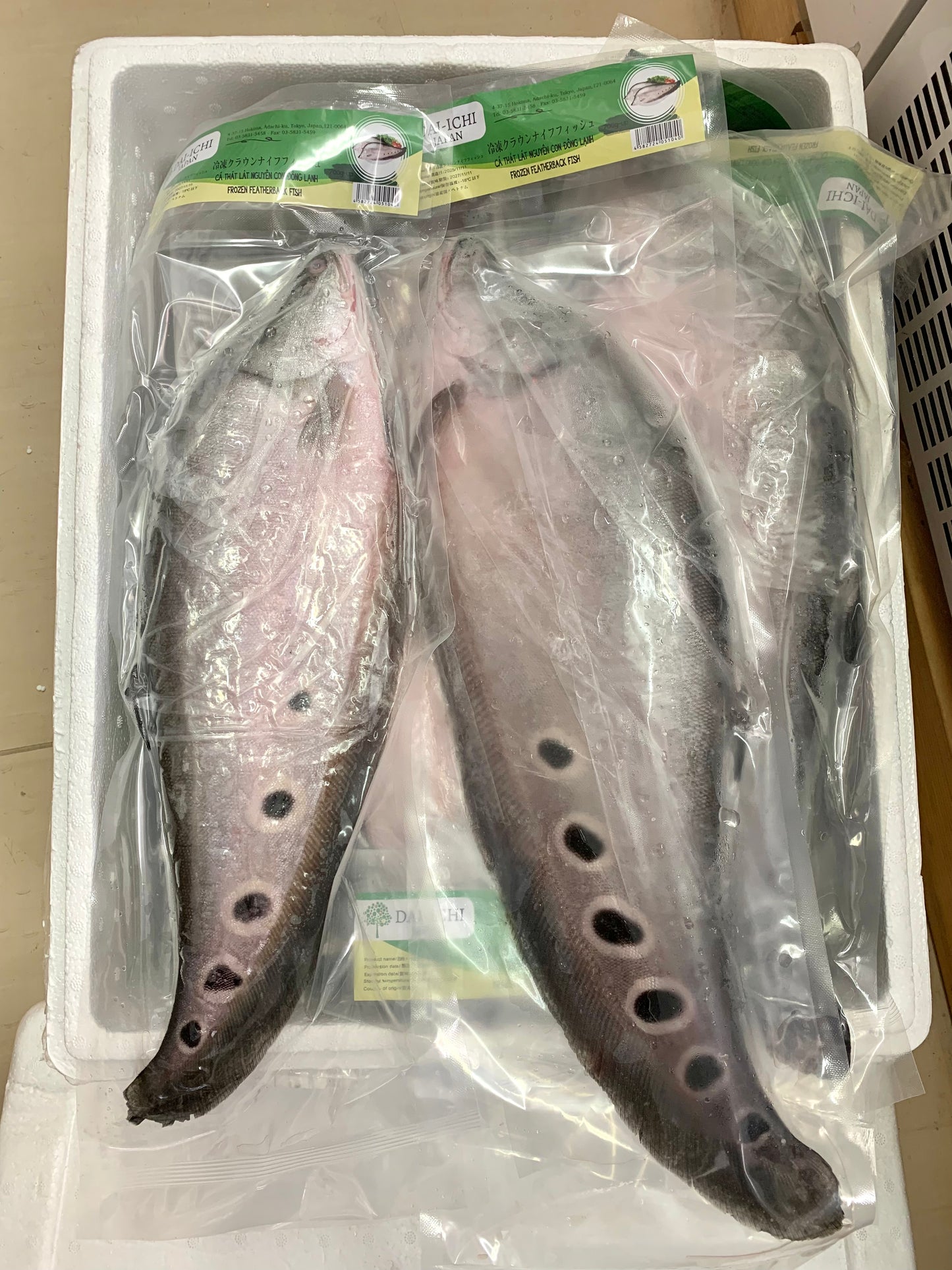 ငါးဖယ်အကောင်လိုက် Frozen Featherback Fish (700g~)