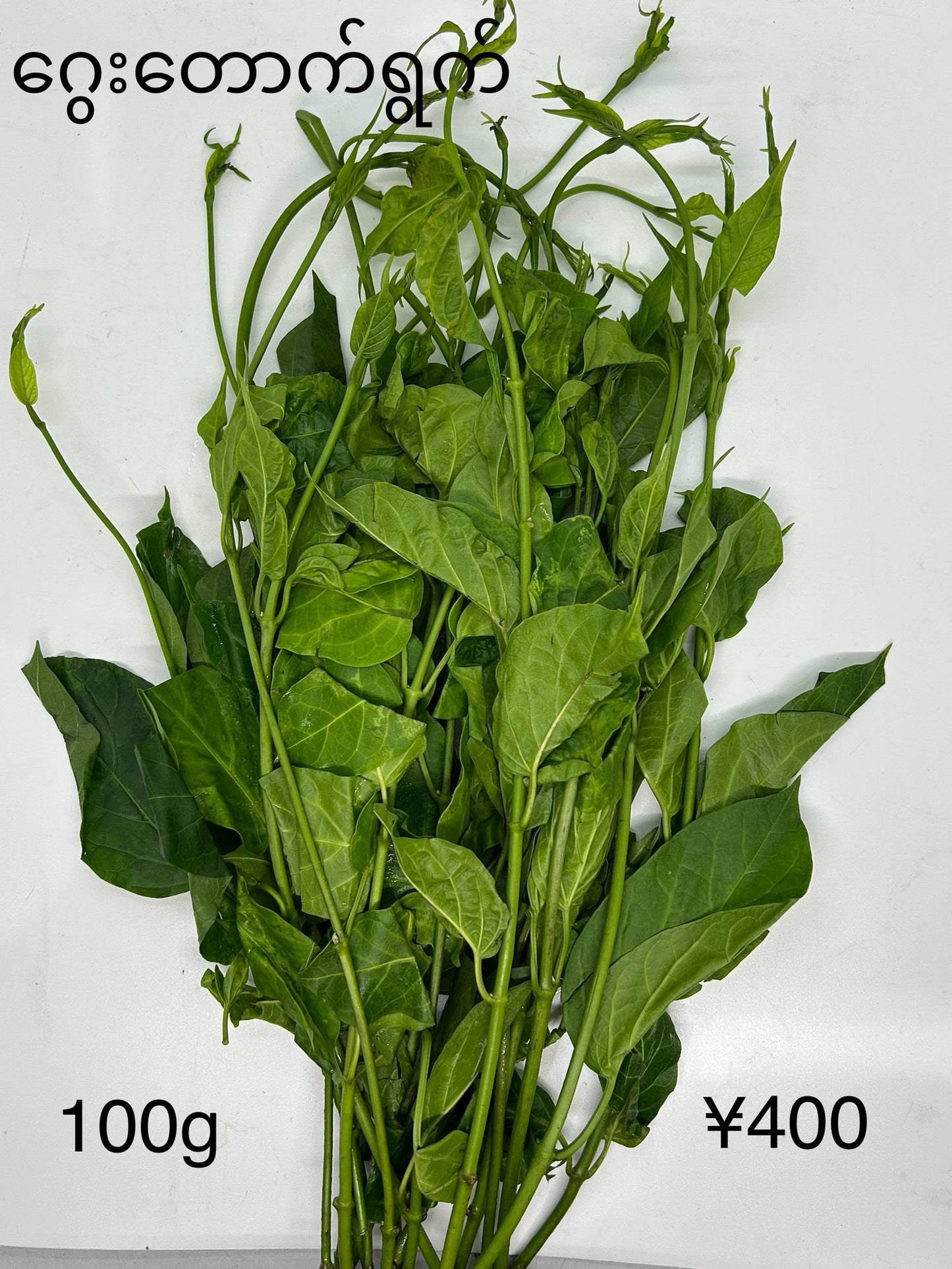 ဂွေးတောက်ရွက် (250g) Cotton Milk Plant Leaf