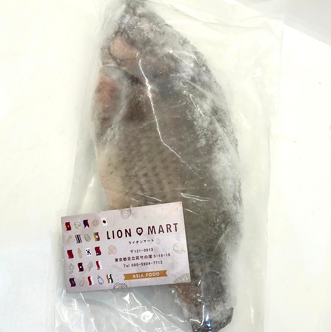 တီလားဗီးယားအကောင်လိုက် ティラピア Tilapia (タイ産) PADMA