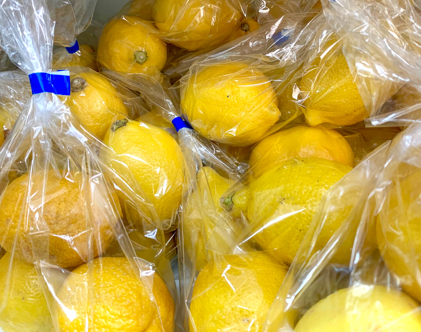 သံပယို レモン