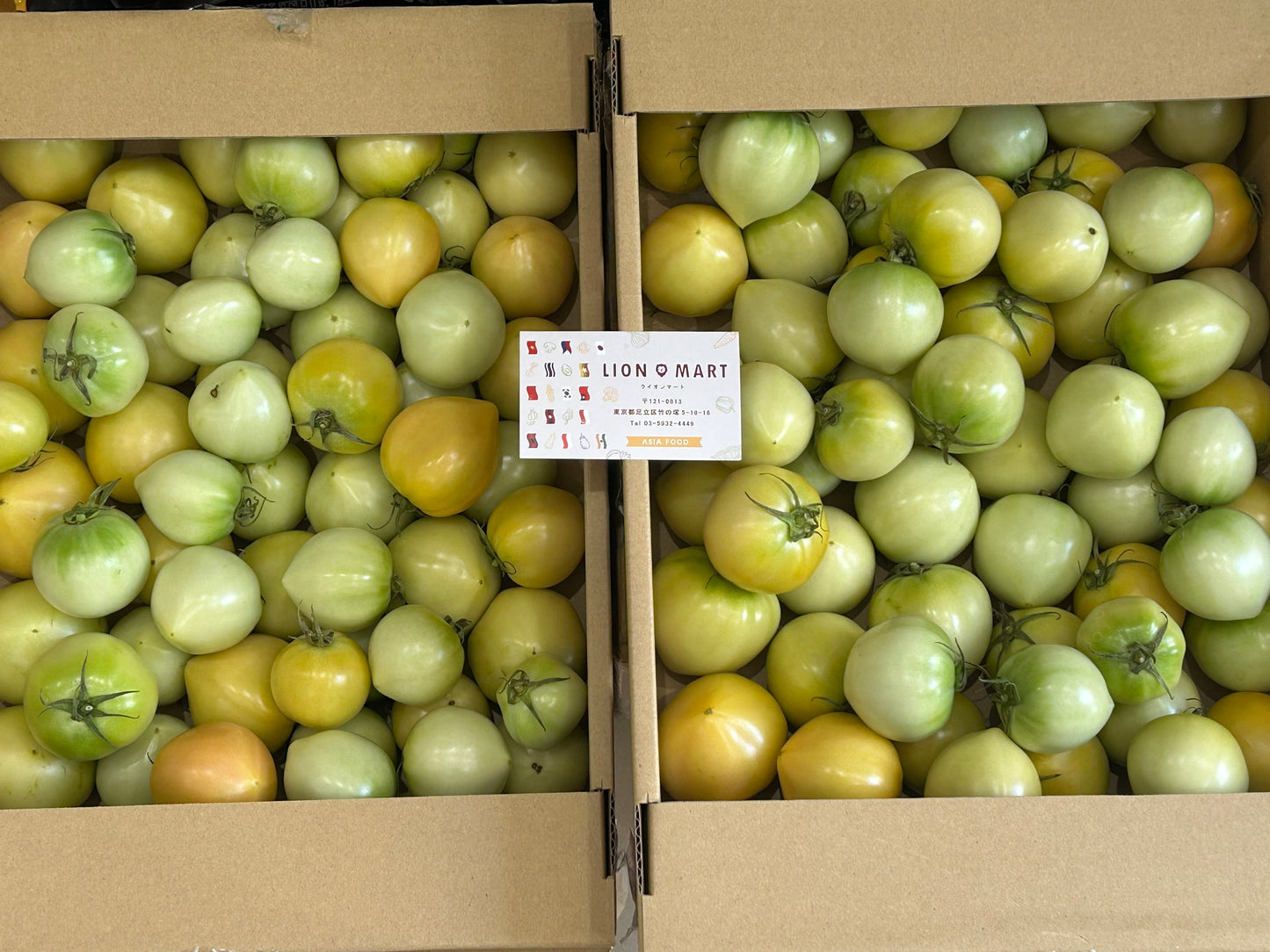 ခရမ်းချဉ်သီးအစိမ်း Tomato