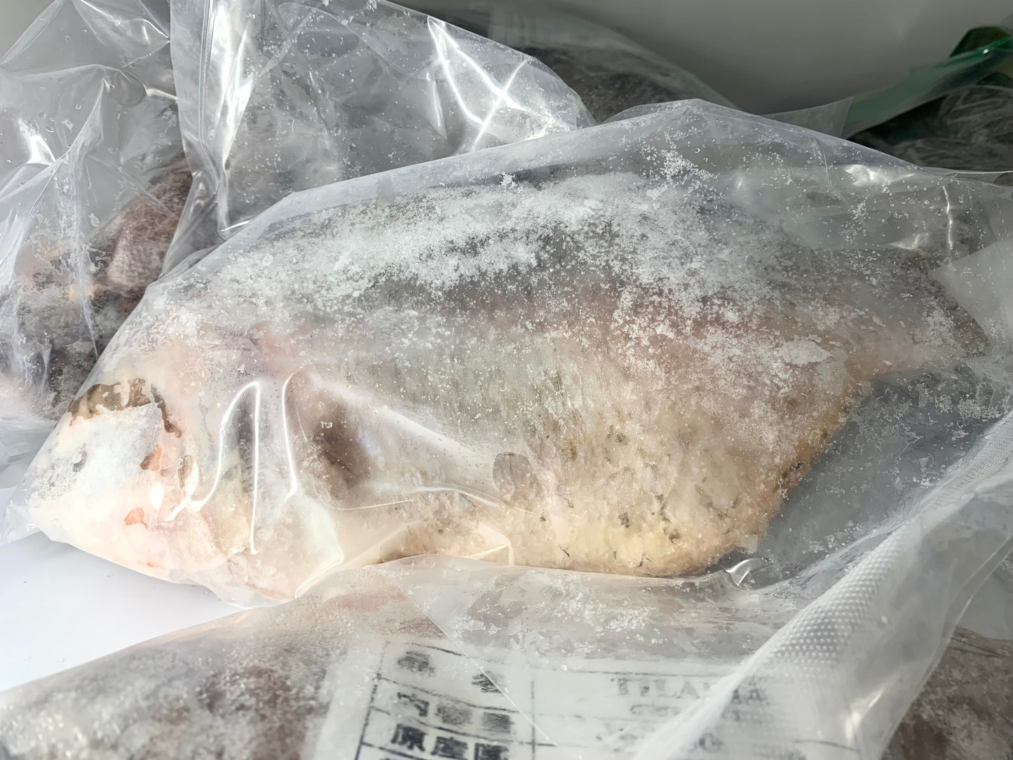 တီလားဗီးယားအကောင်လိုက် ティラピア Tilapia (タイ産) PADMA