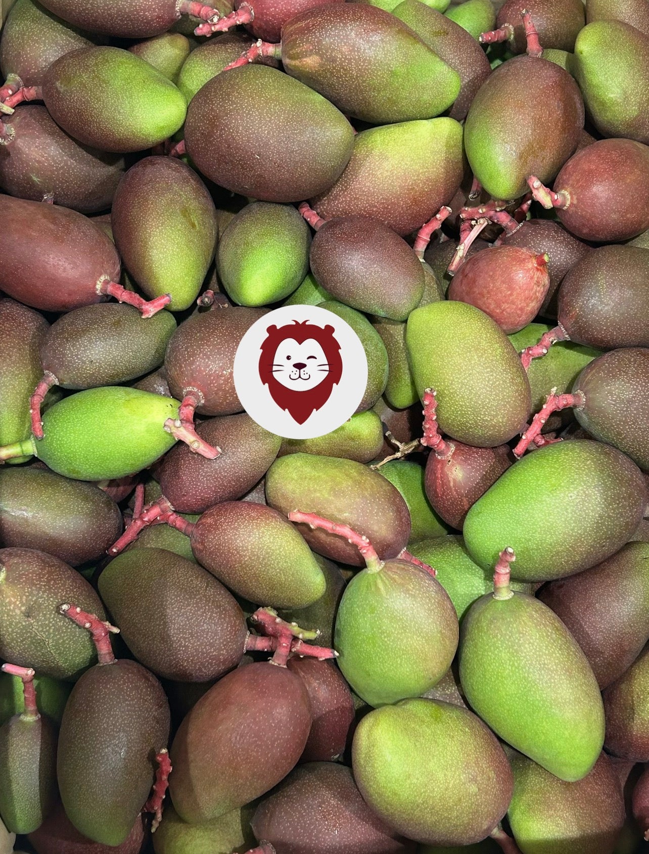 သရက်ကင်း