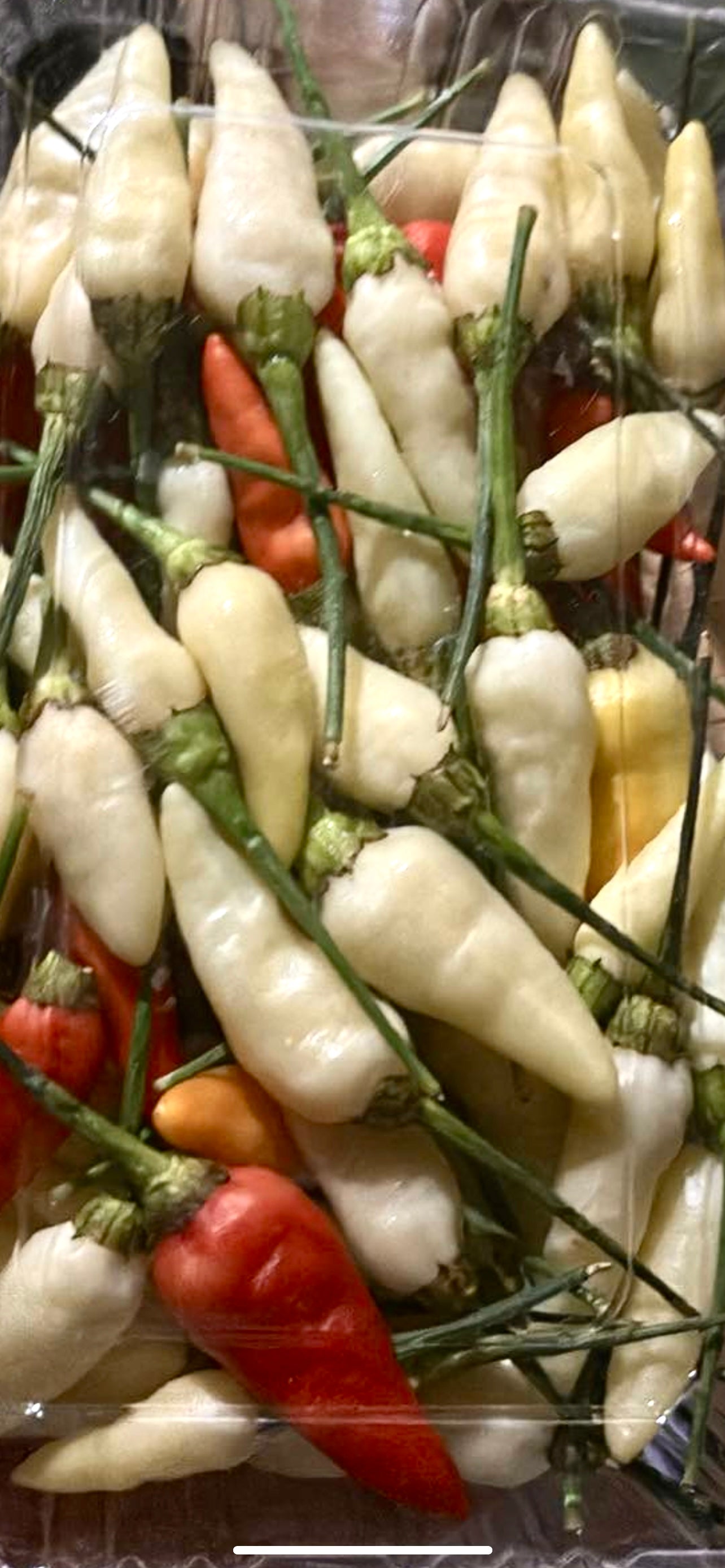 ငရုတ်သီးစိမ်း အဖြူ (100g)