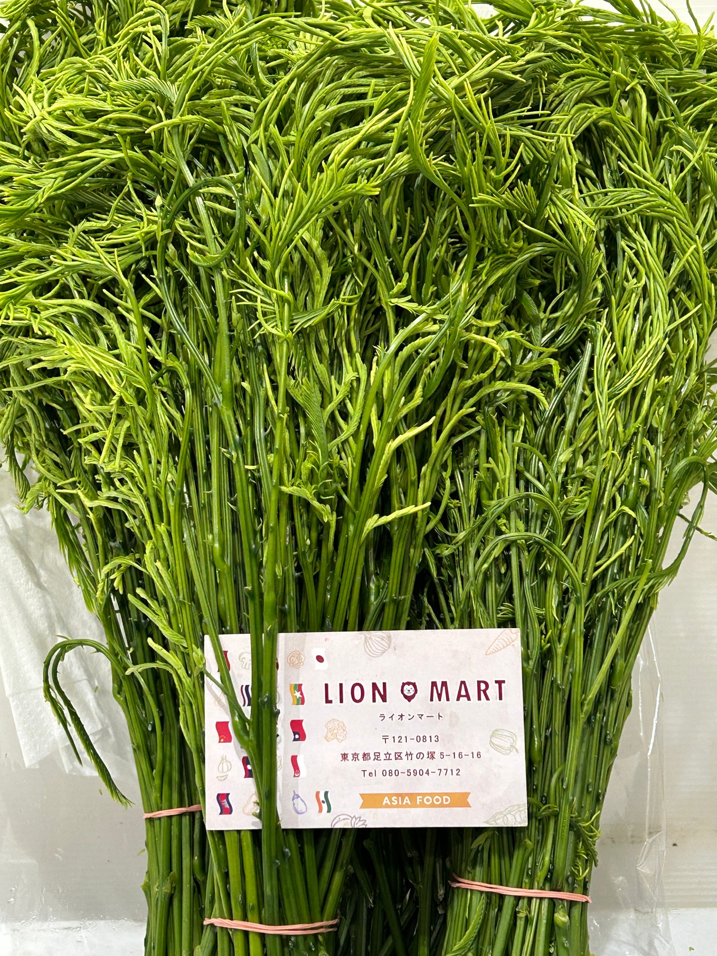 ဆူးပုတ်ကြီး サネがリアぺンナータ100g