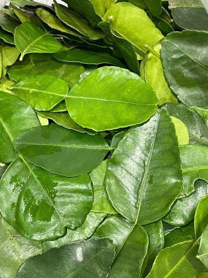 ရှောက်ရွက် Kaffir Lime Leaf