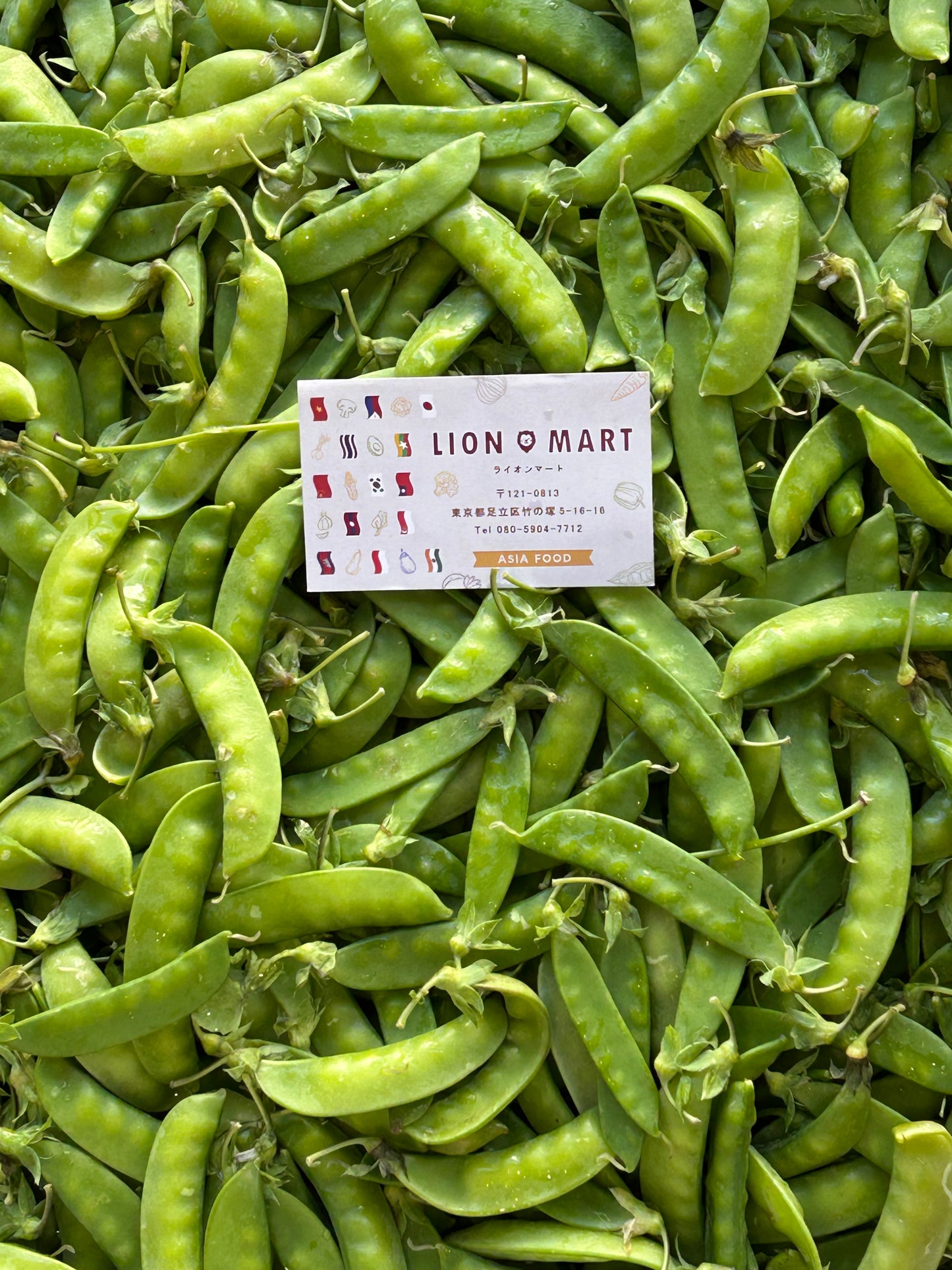 ရွှေပဲသီး