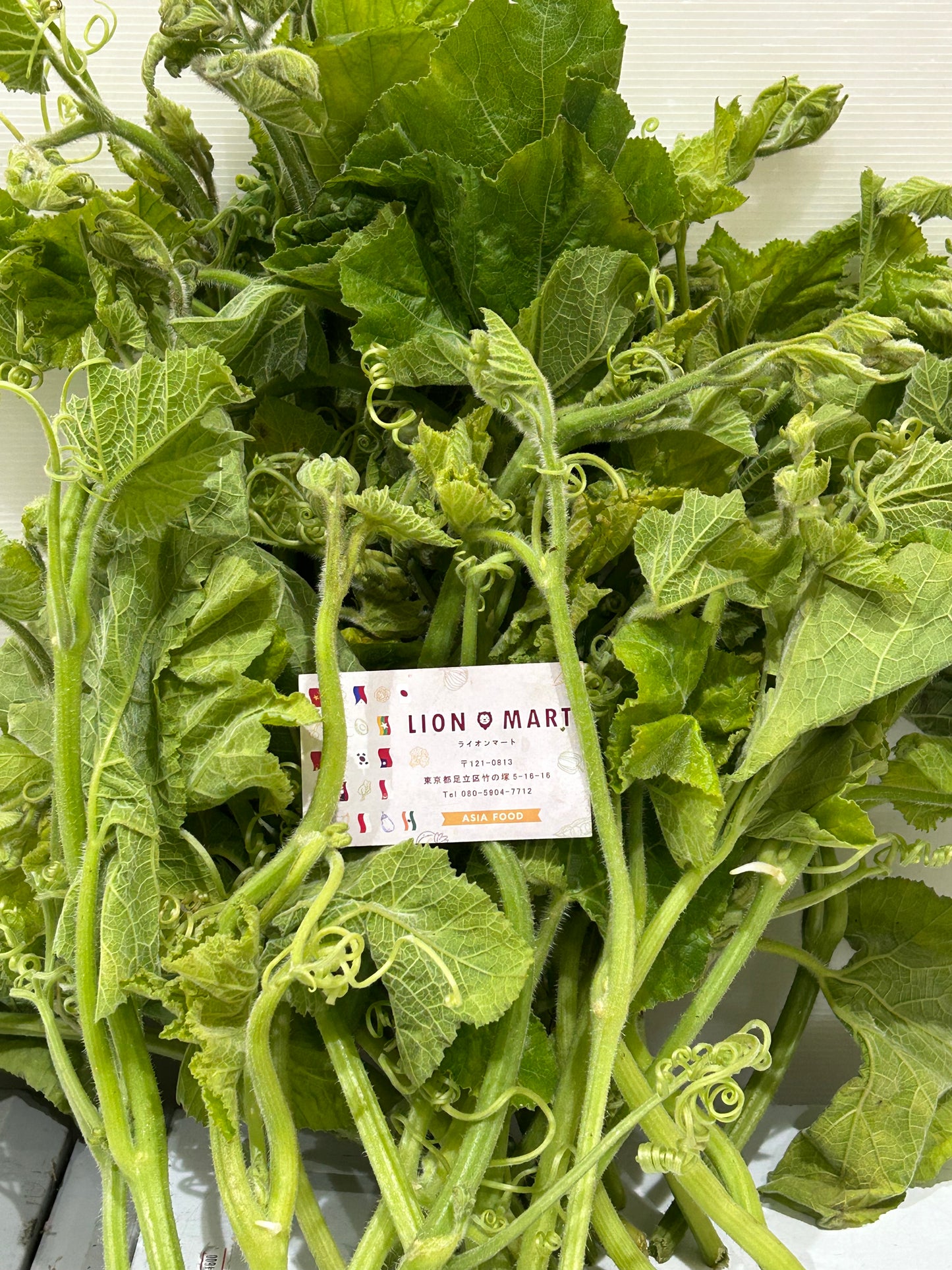 ဖယုံညွန့်