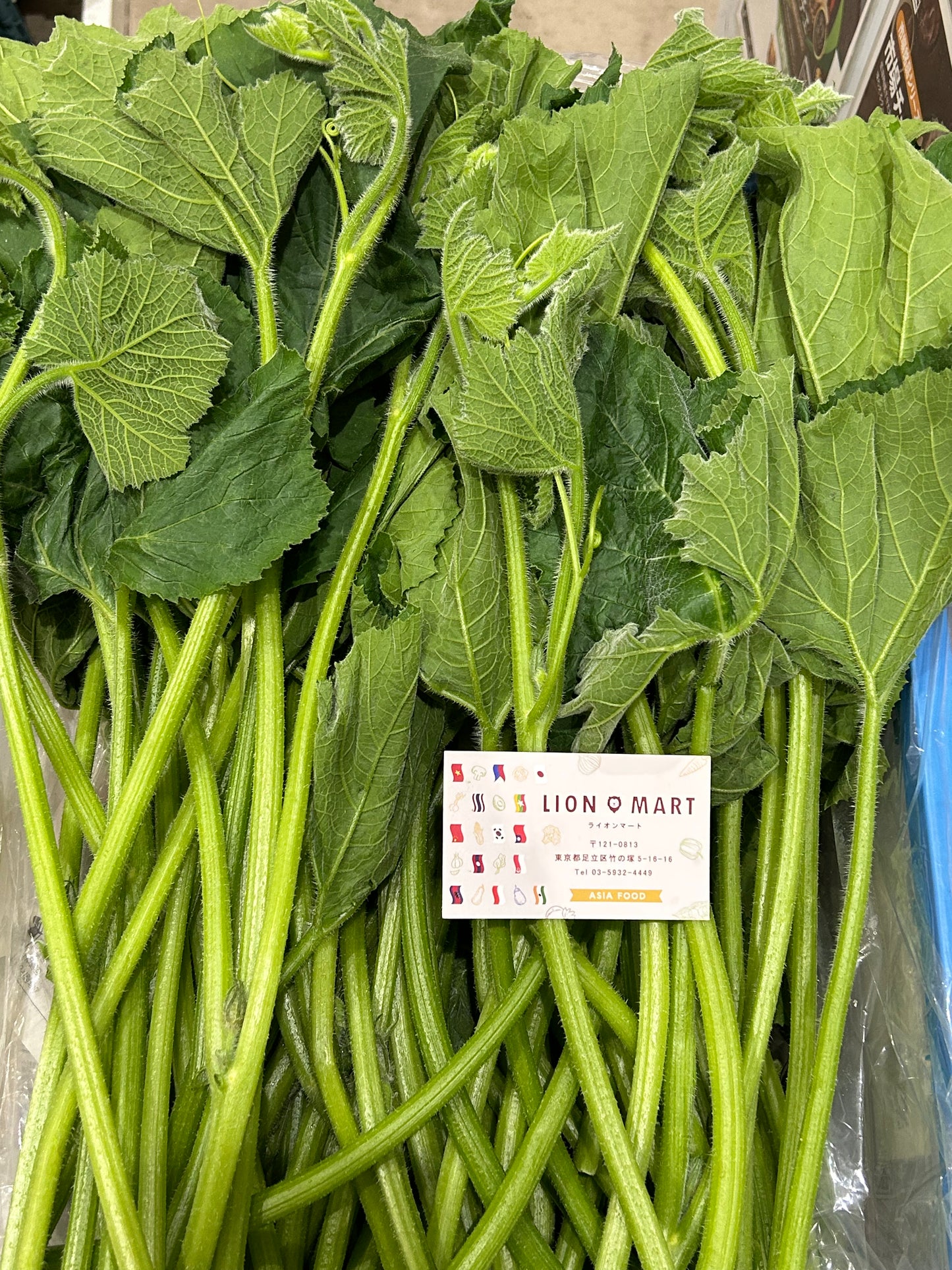 ဖယုံညွန့် 400g