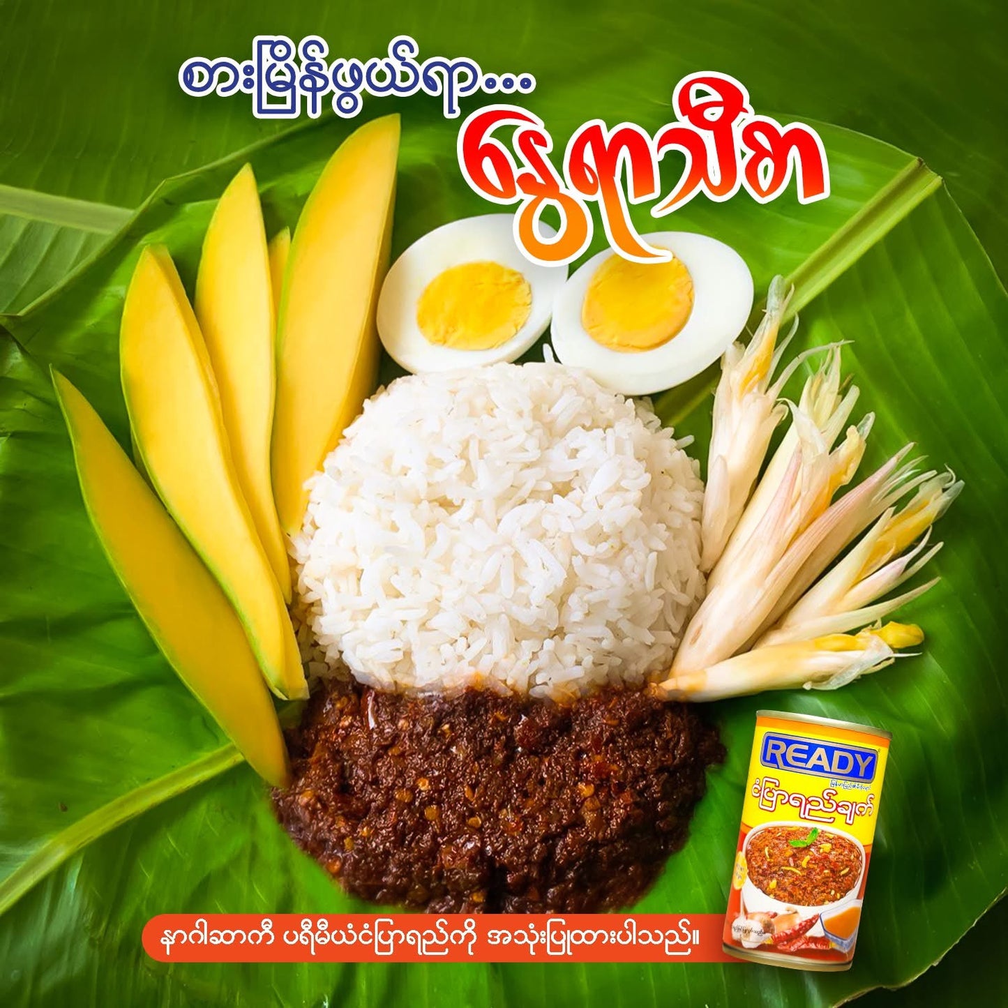 READY ငံပြာရည်ချက်