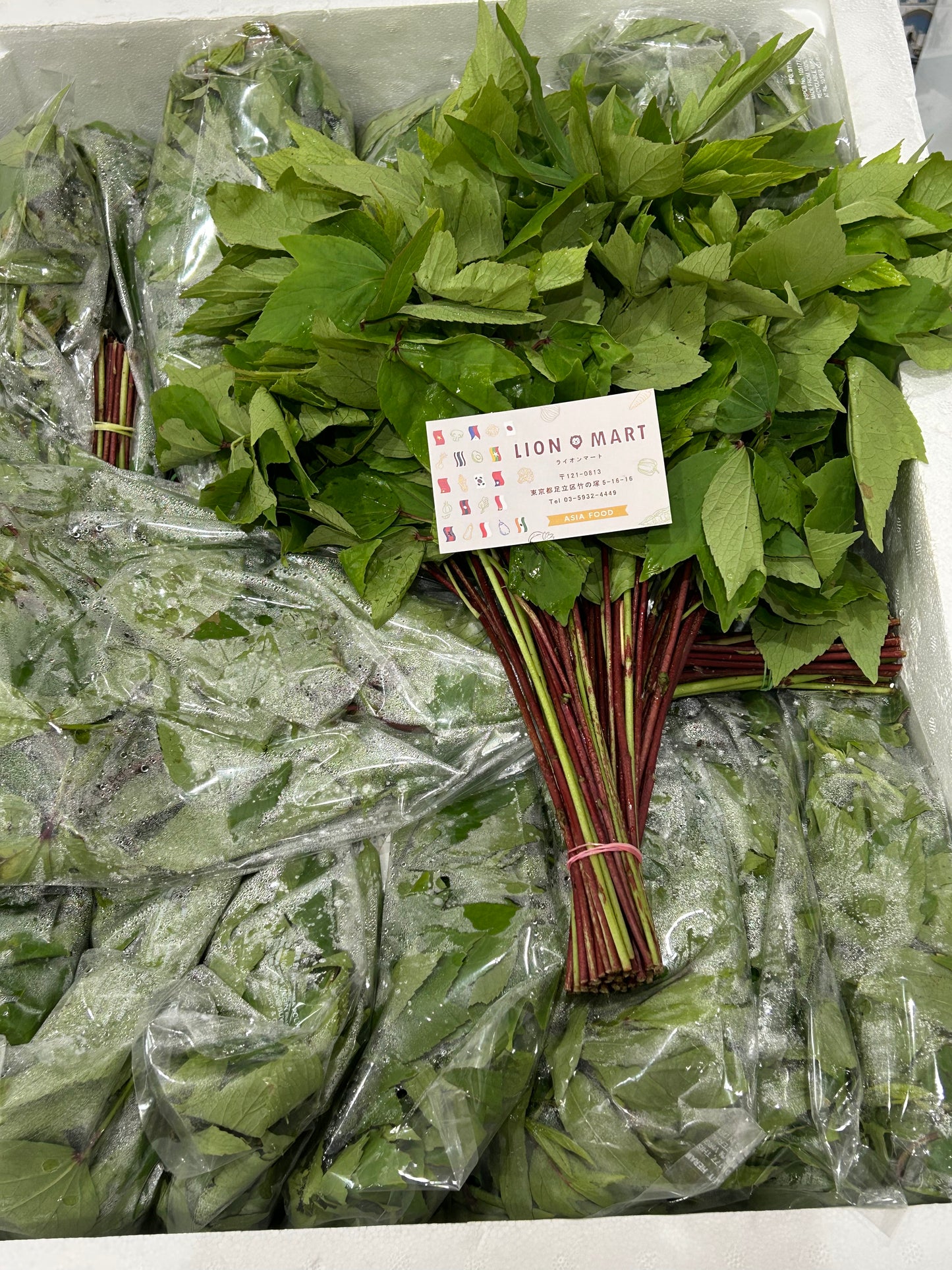 ချဉ်ပေါင်ရွက် 250g~ (with stalk)