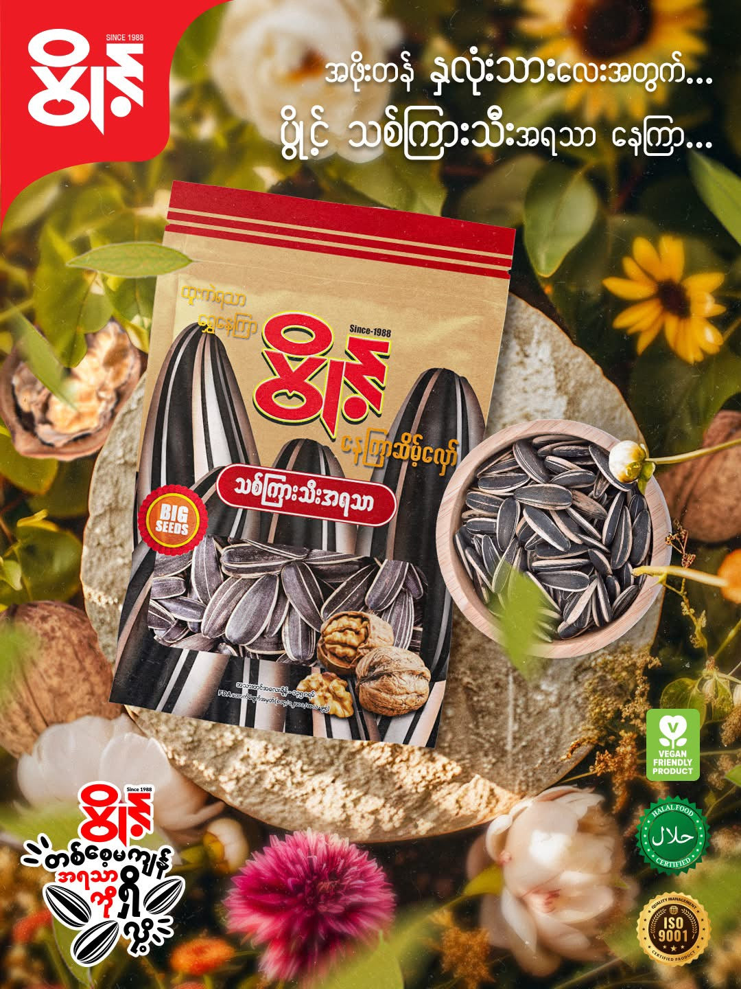 ပွိုင့် နေကြာစေ့ (သစ်ကြားသီးအရသာ)