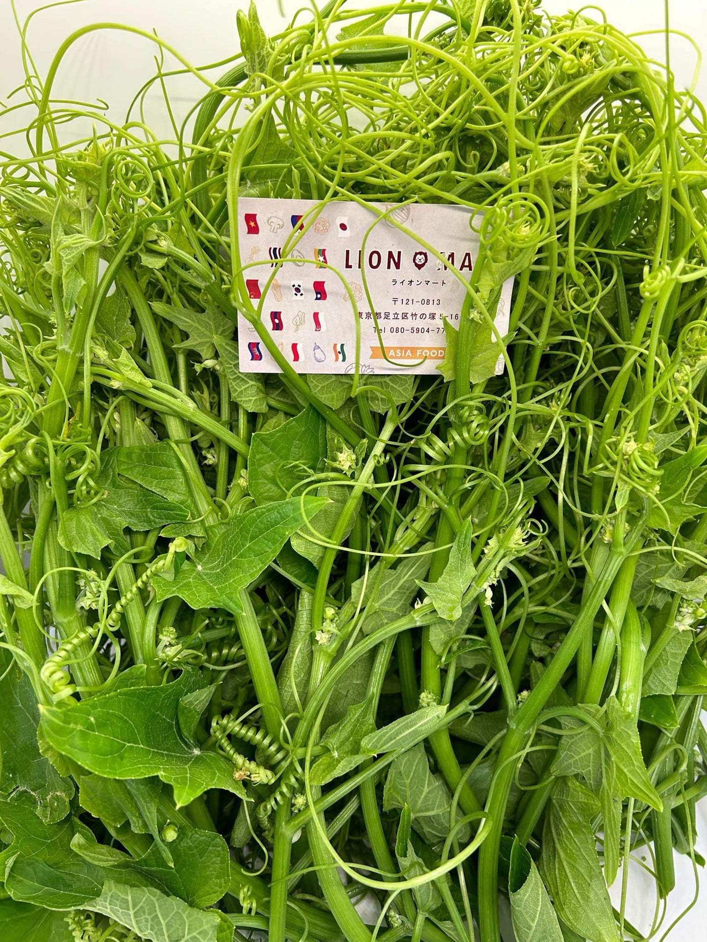 ဂေါ်ရခါးညွန့် 200g