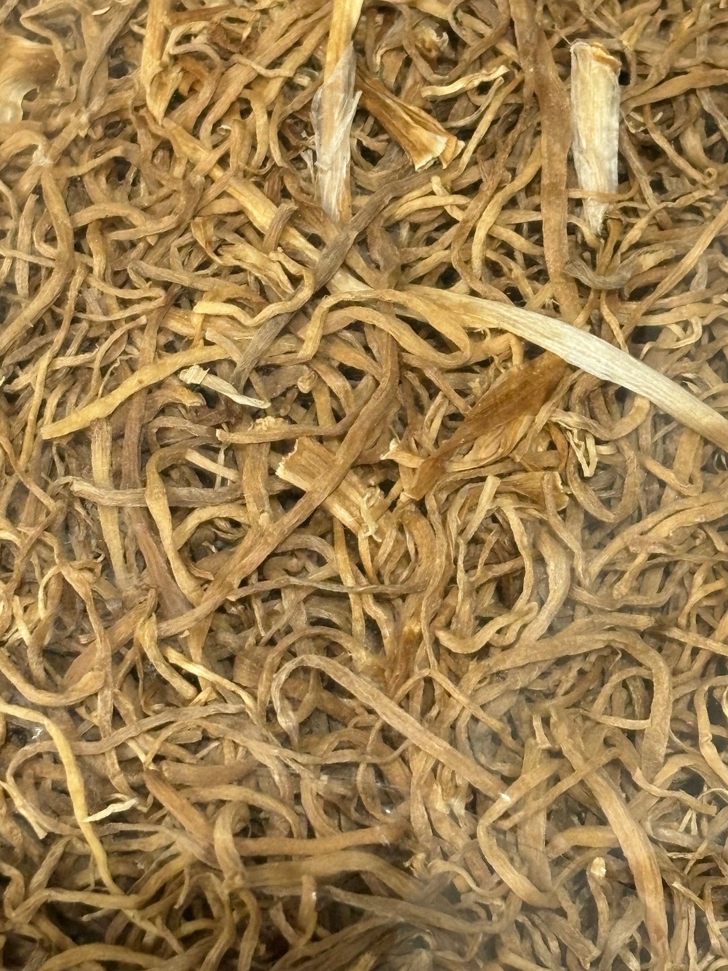 ဦးမှန်ကြီး ဂျူးမြစ်ခြောက်