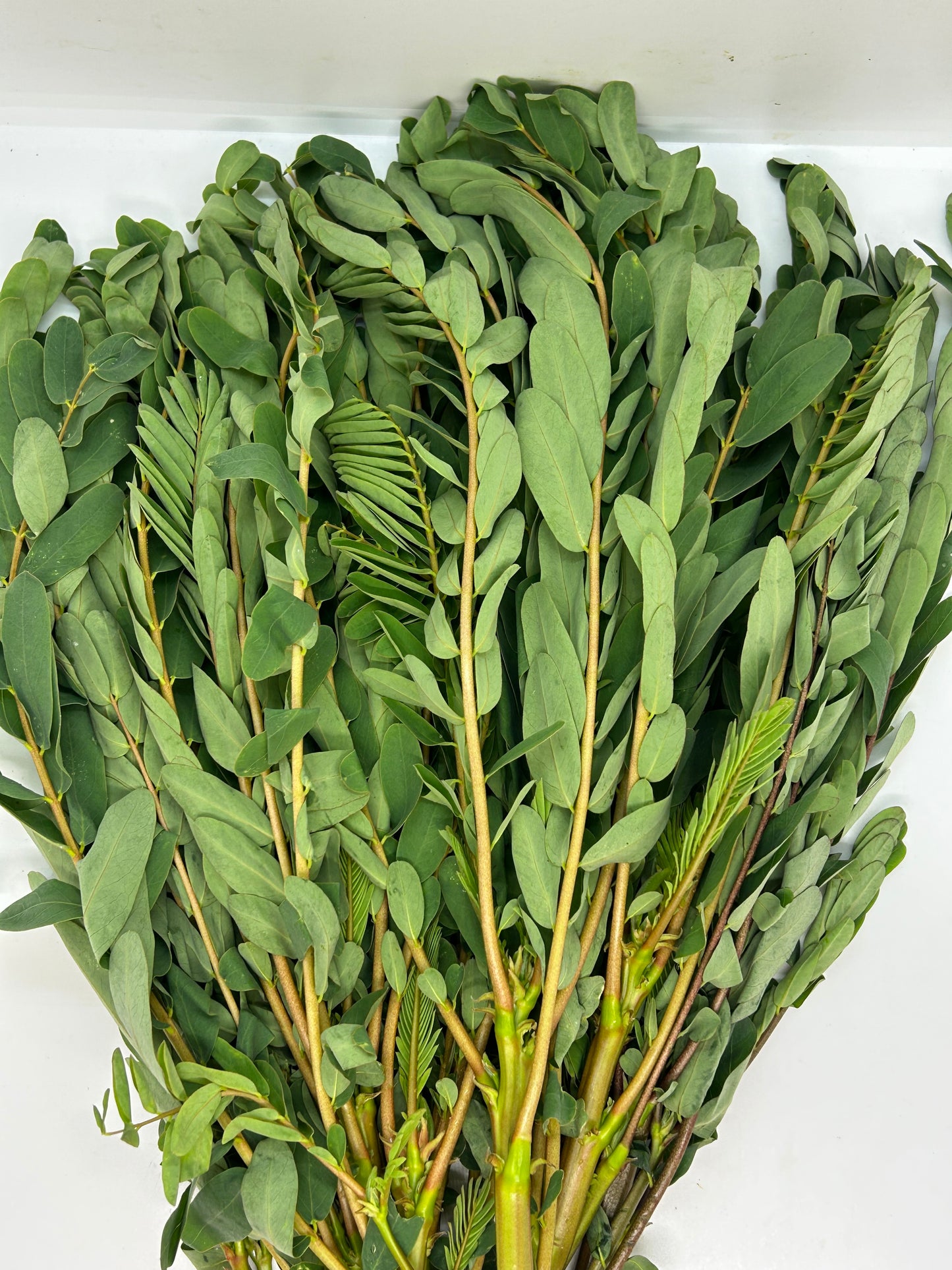 ပေါက်ပန်းဖြူရွက် (250g)