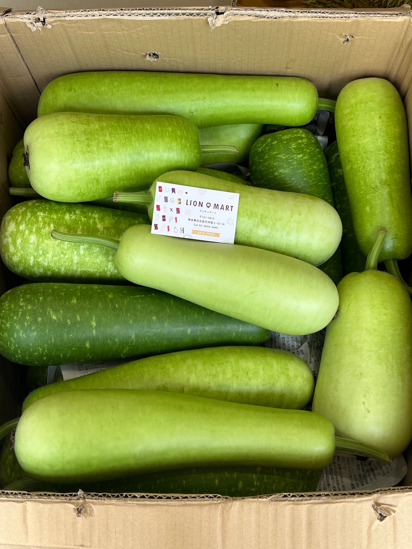 ဘူးသီး ၁ လုံး Gourd 夕顔