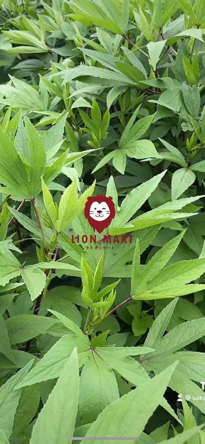 ချဉ်ပေါင်ရွက် (အရွက်သီးသန့်) 1kg