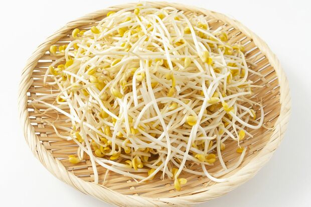 ပဲပင်ပေါက် 豆もやし