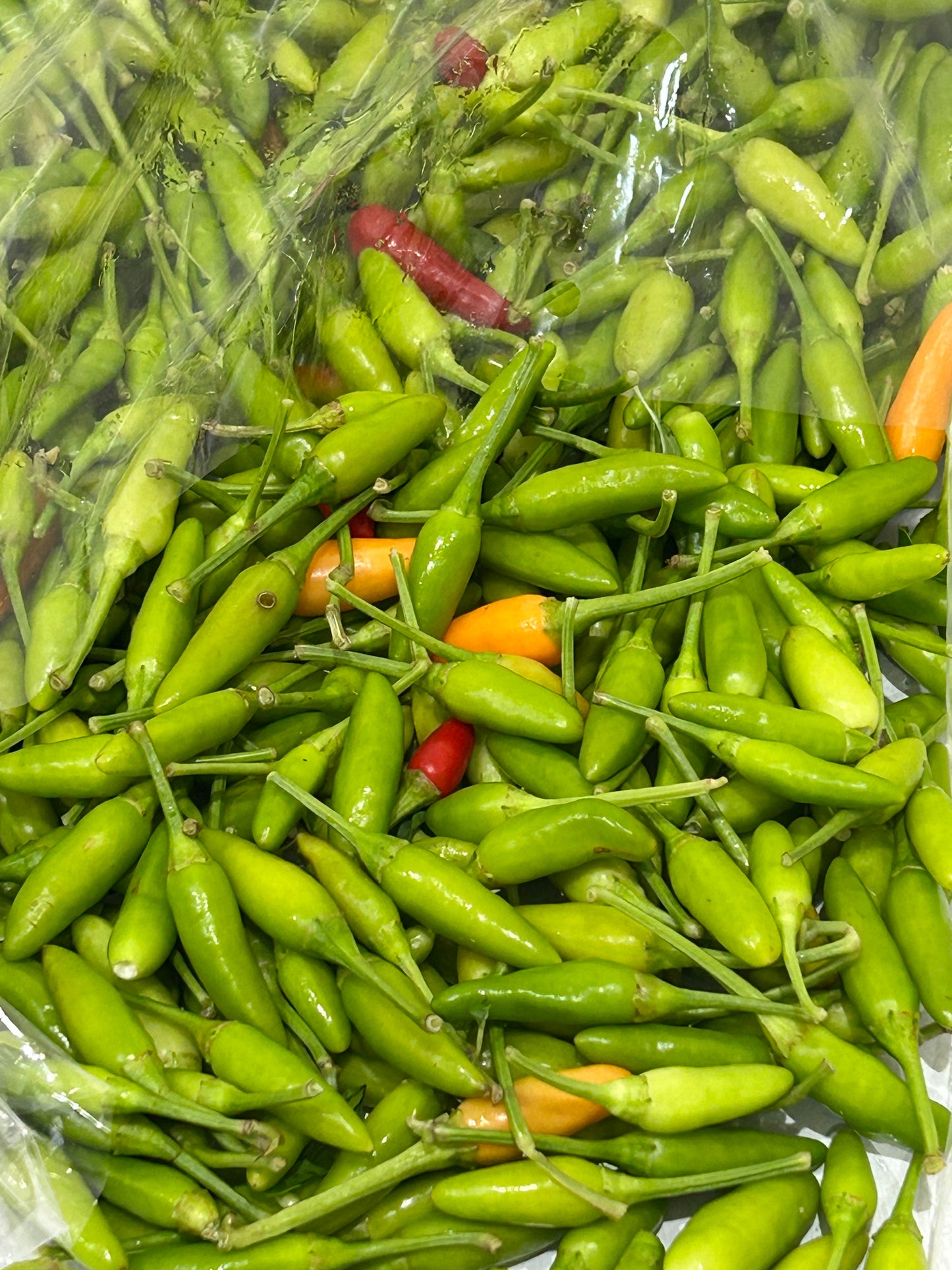 ငရုတ်သီးစိမ်း ရွှေအပ် (အကြီး) 100g