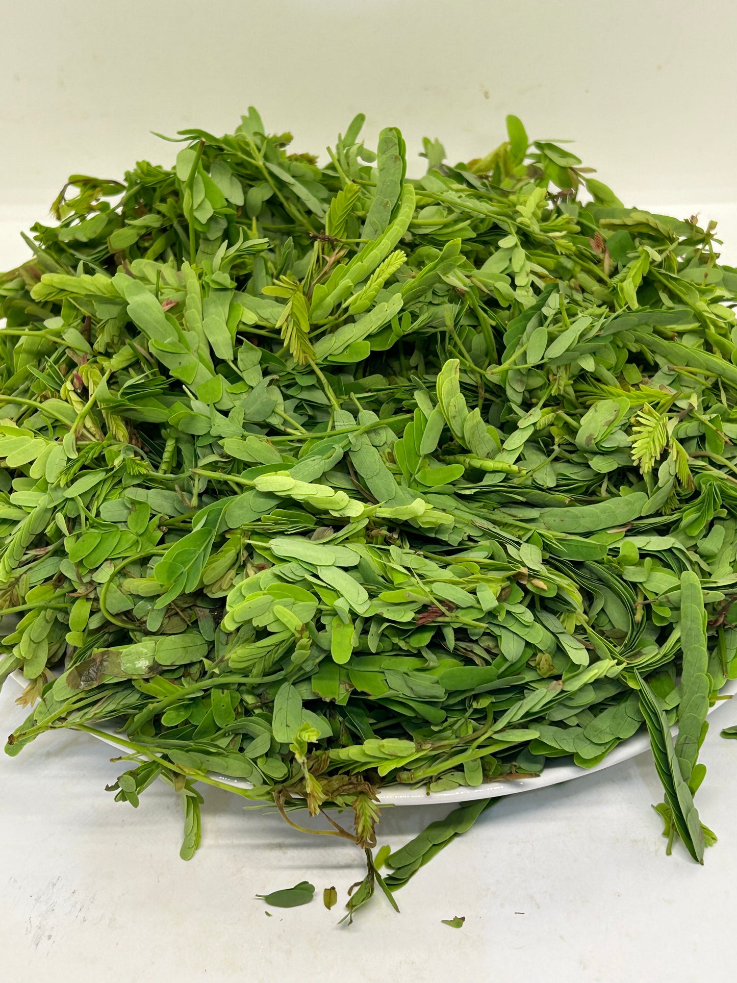 မန်ကျည်းရွက် (250g) Tamarind Leaf