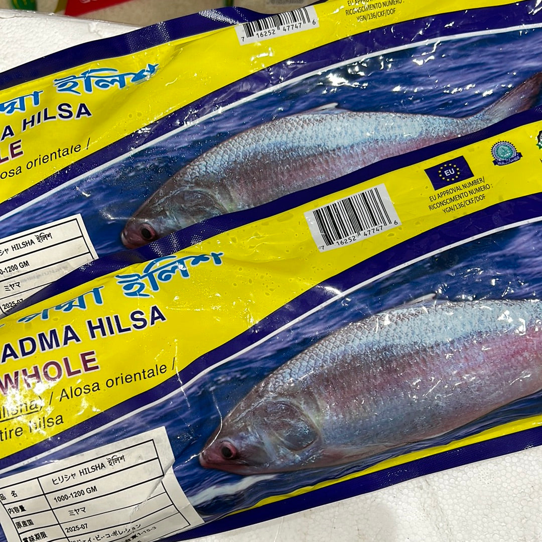 ငါးသလောက် အကောင်လိုက် Hilsha Whole (¥2650/kg)