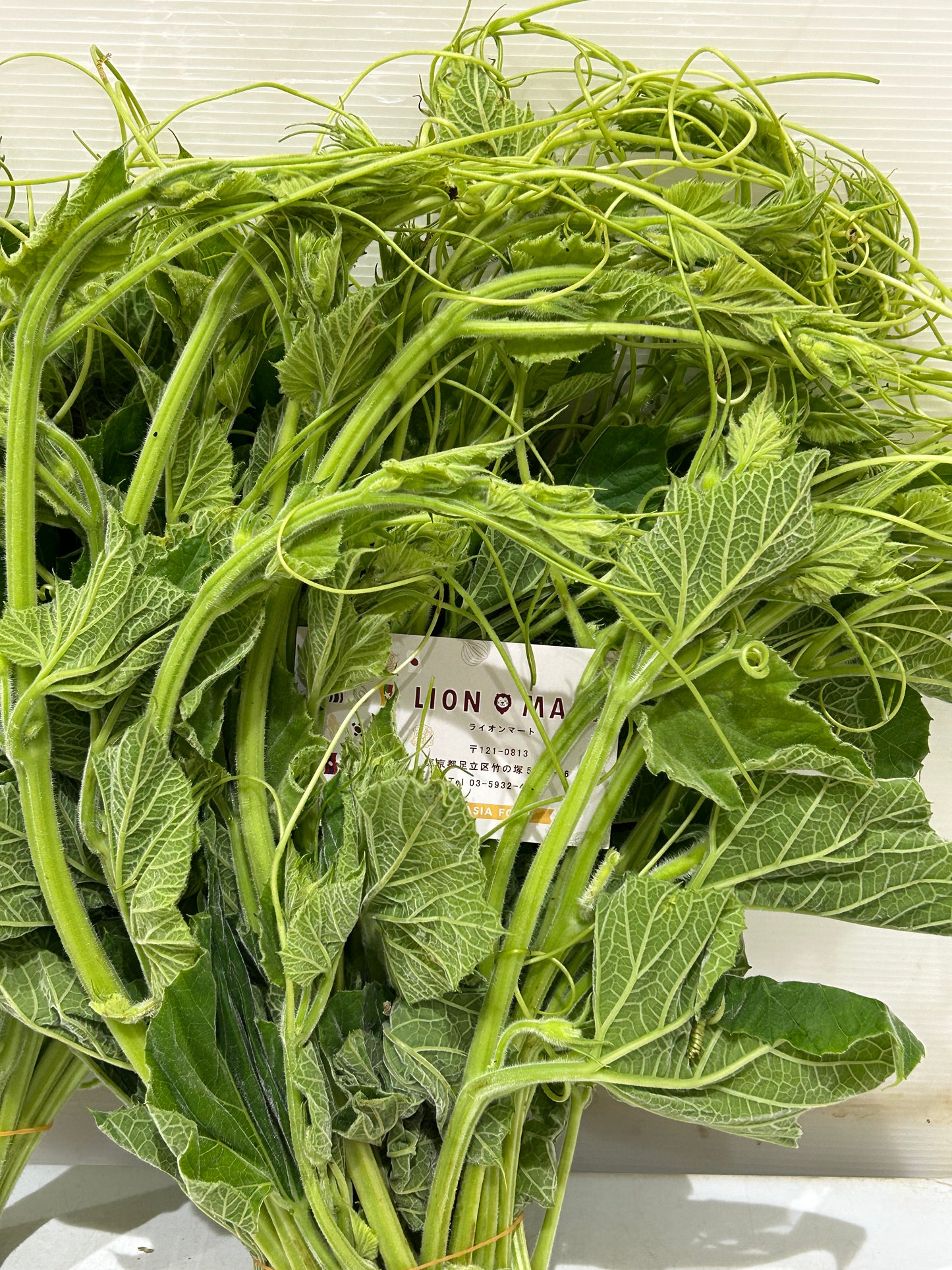 ဘူးညွန့် 250g
