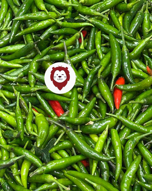 ငရုတ်သီးစိမ်း မိုးမျှော်