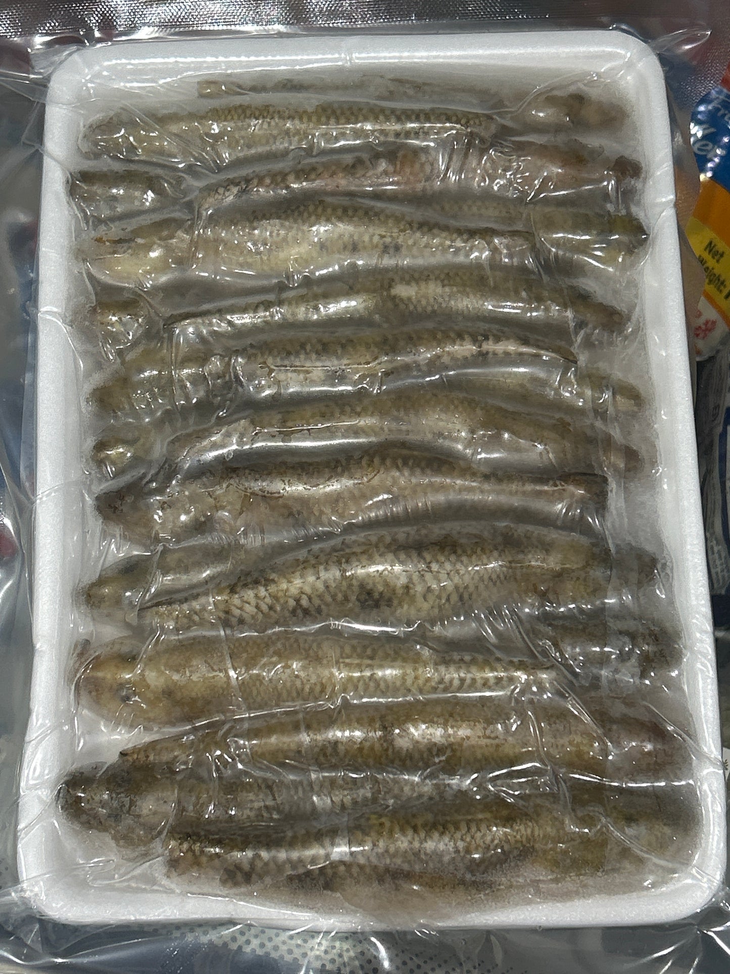 ငါးပနော် Frozen Gobies (500g)