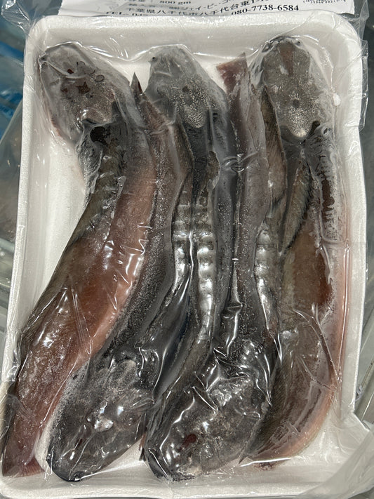 ငါးခူ Magur (Cat Fish) Whole with Tray
