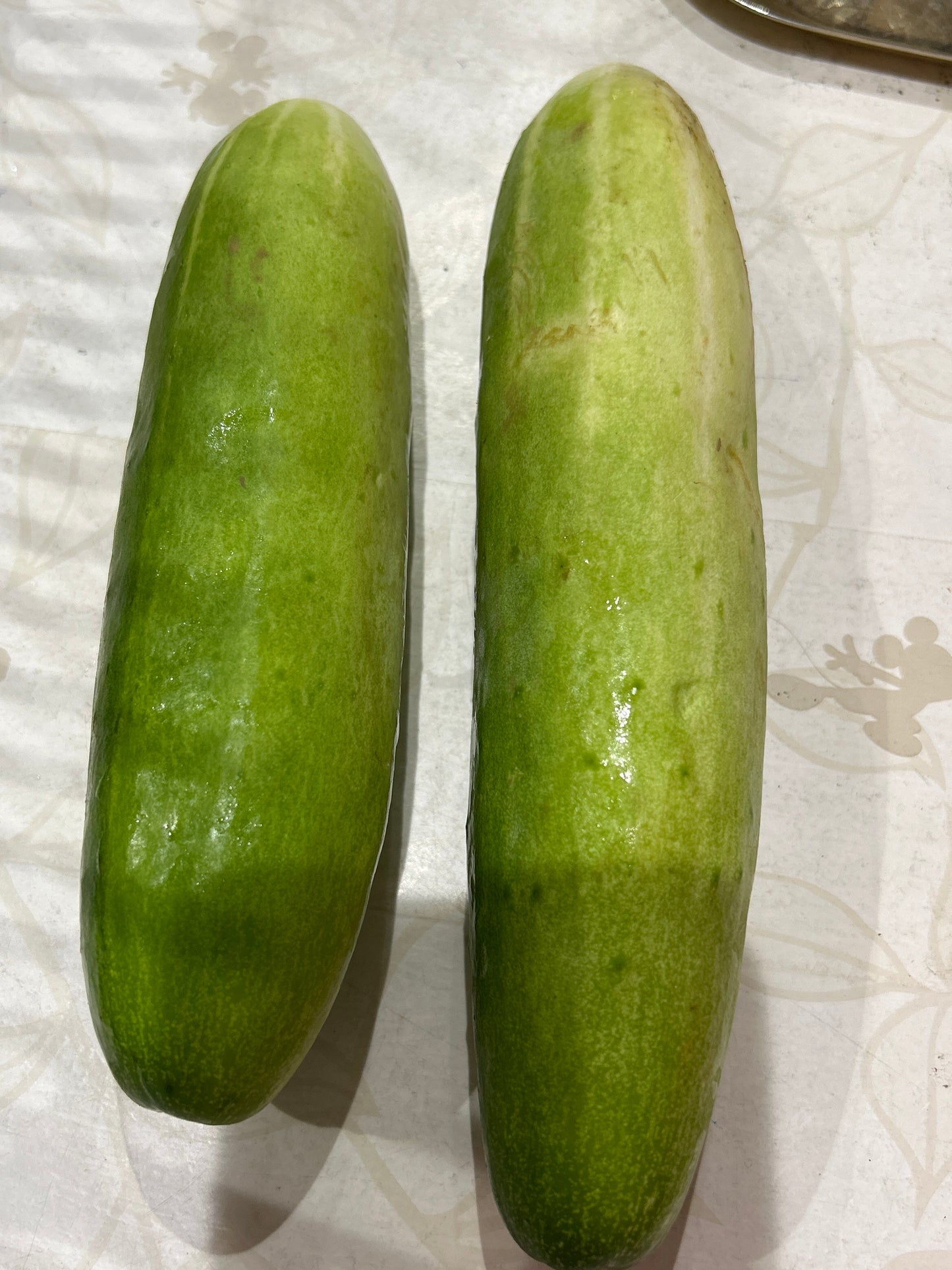 သခွားသီး きゅうり🥒 500g