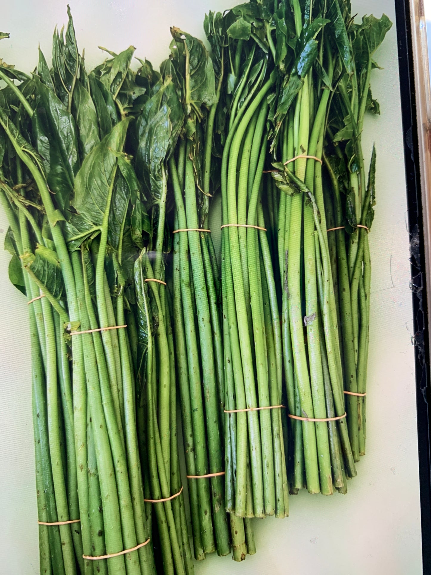 ဇရစ် 250g