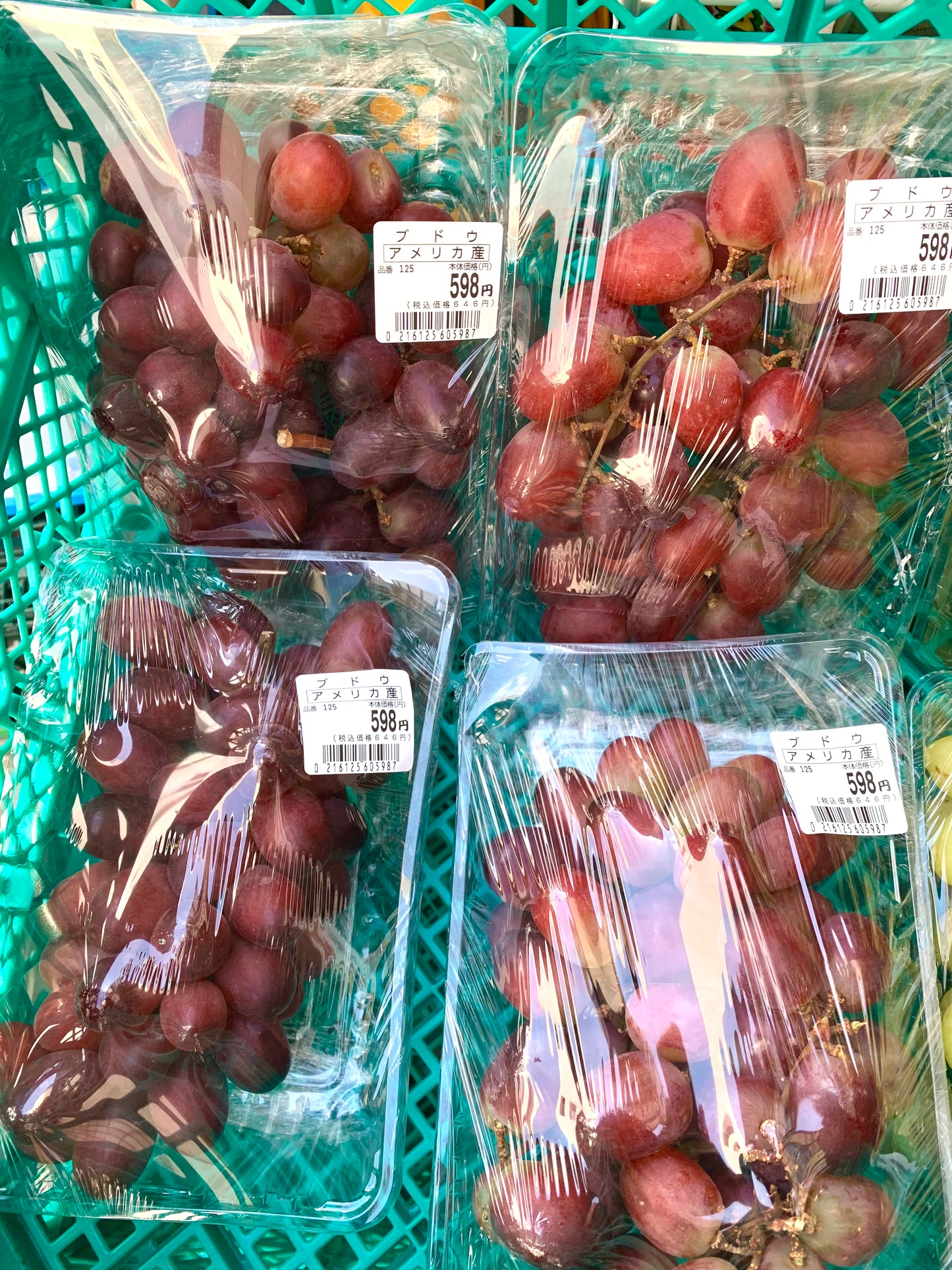 စပျစ်သီးအနီ 赤ブドウ