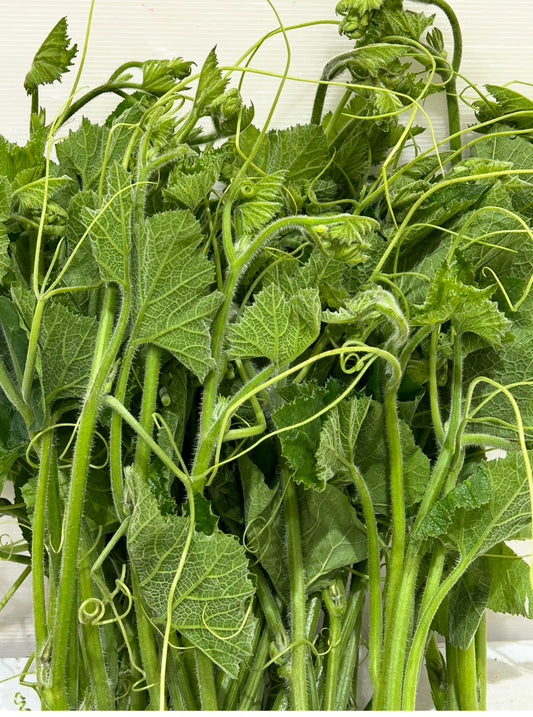 ဖယုံညွန့်