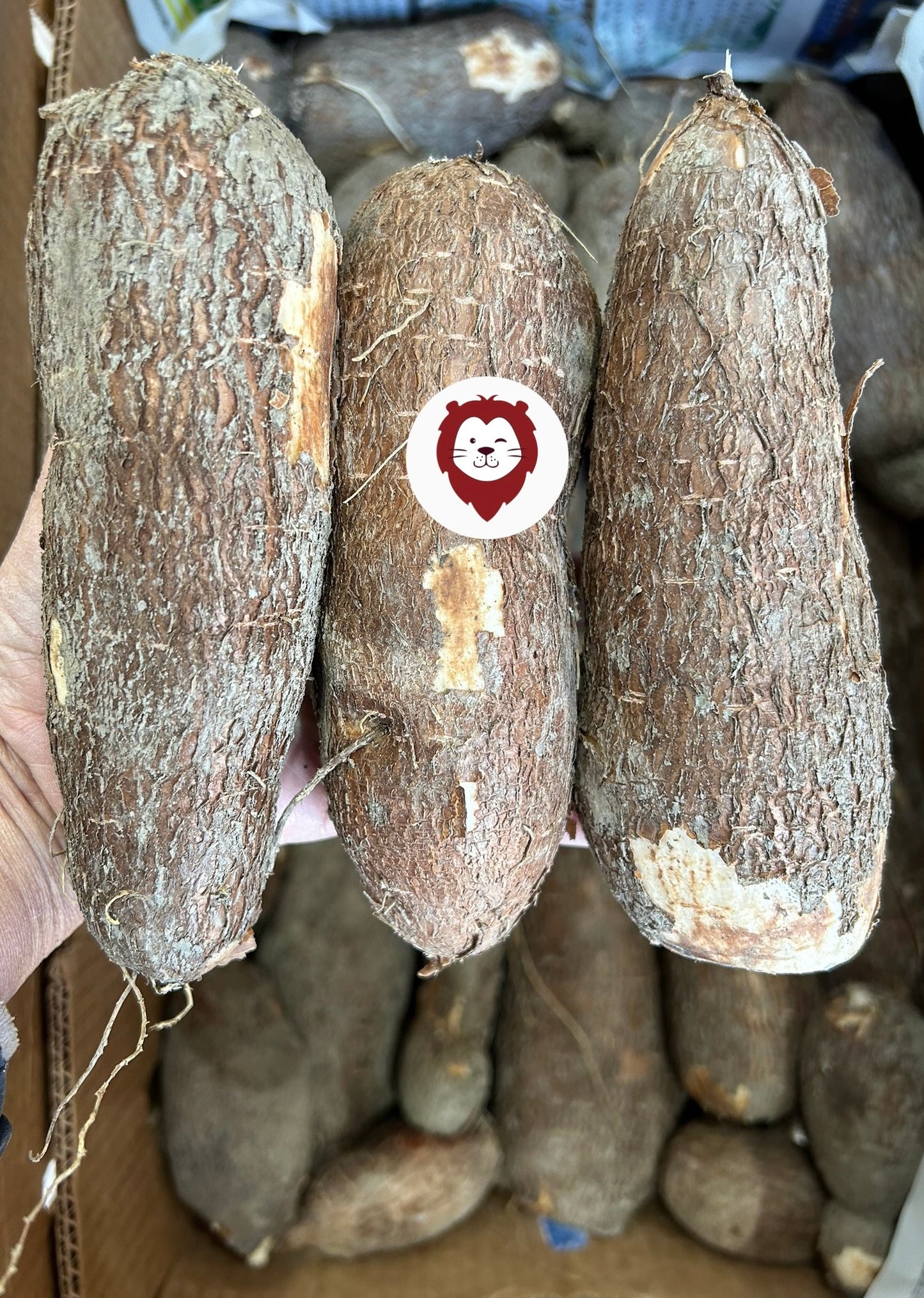 ပီလောပီနံဥ 1kg