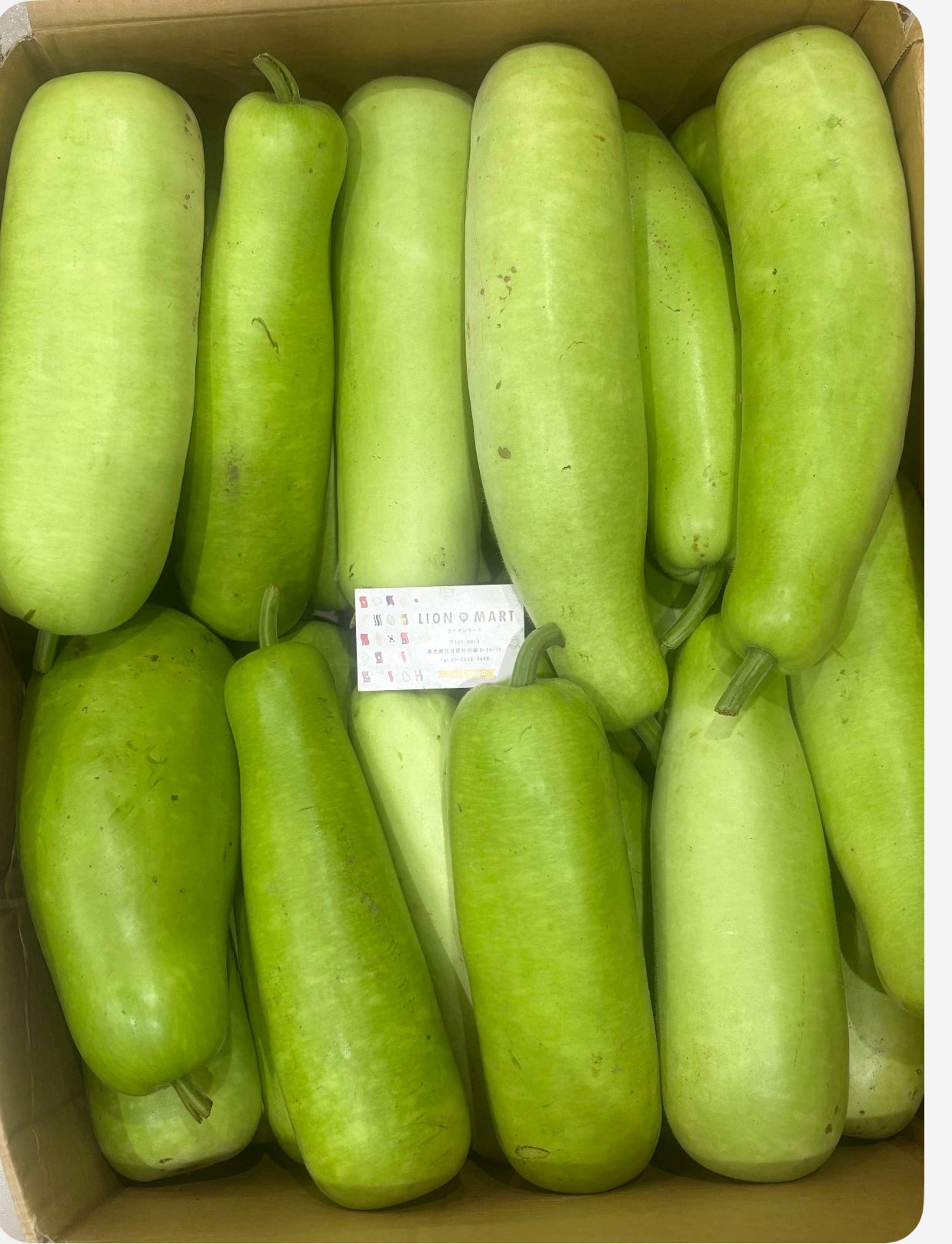 ဘူးသီး Gourd 夕顔