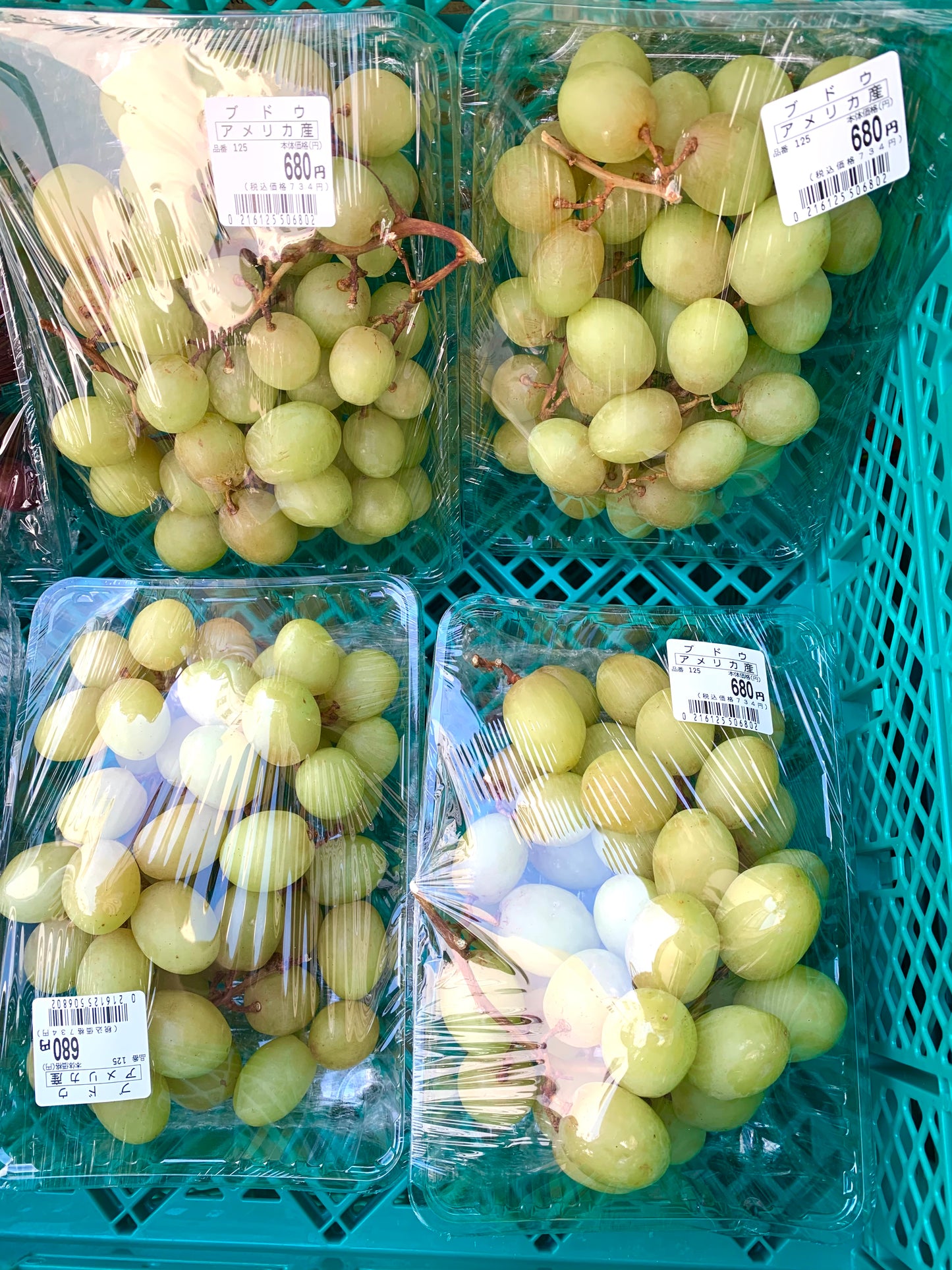 စပျစ်သီးအစိမ်း 青ブドウ