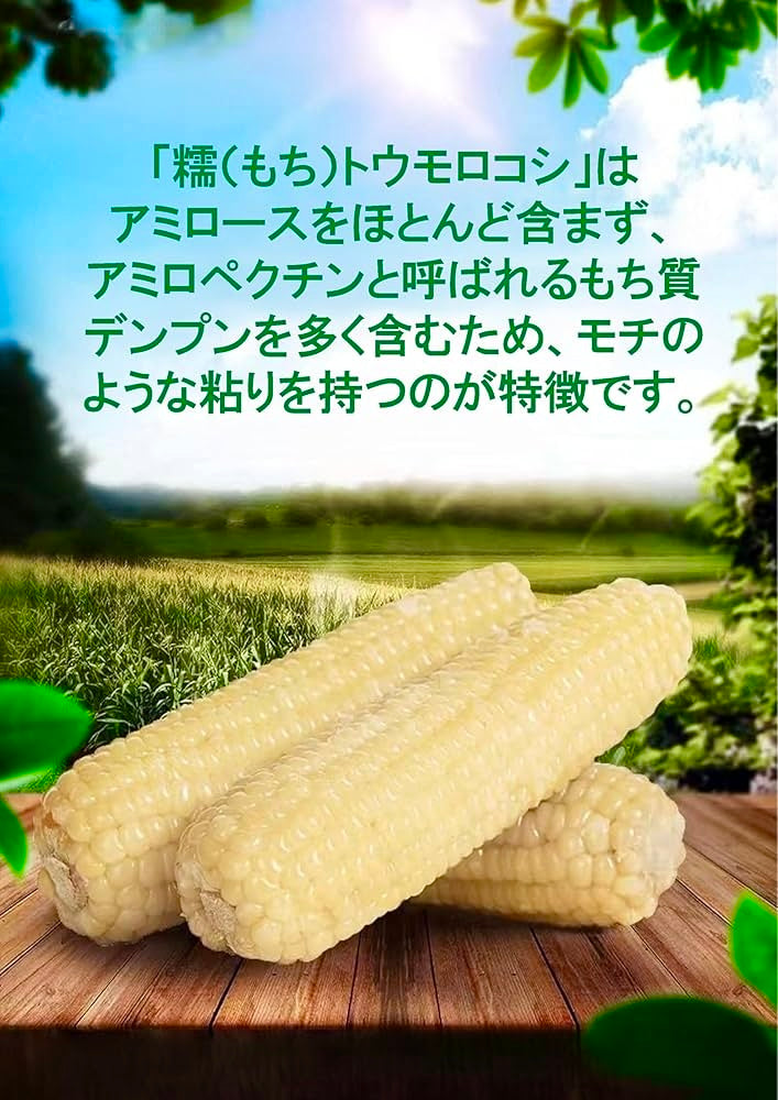 ပလို့ပြောင်း とうもろこ (1本)