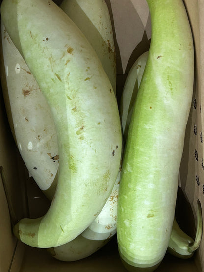 ဘူးသီး Gourd 夕顔